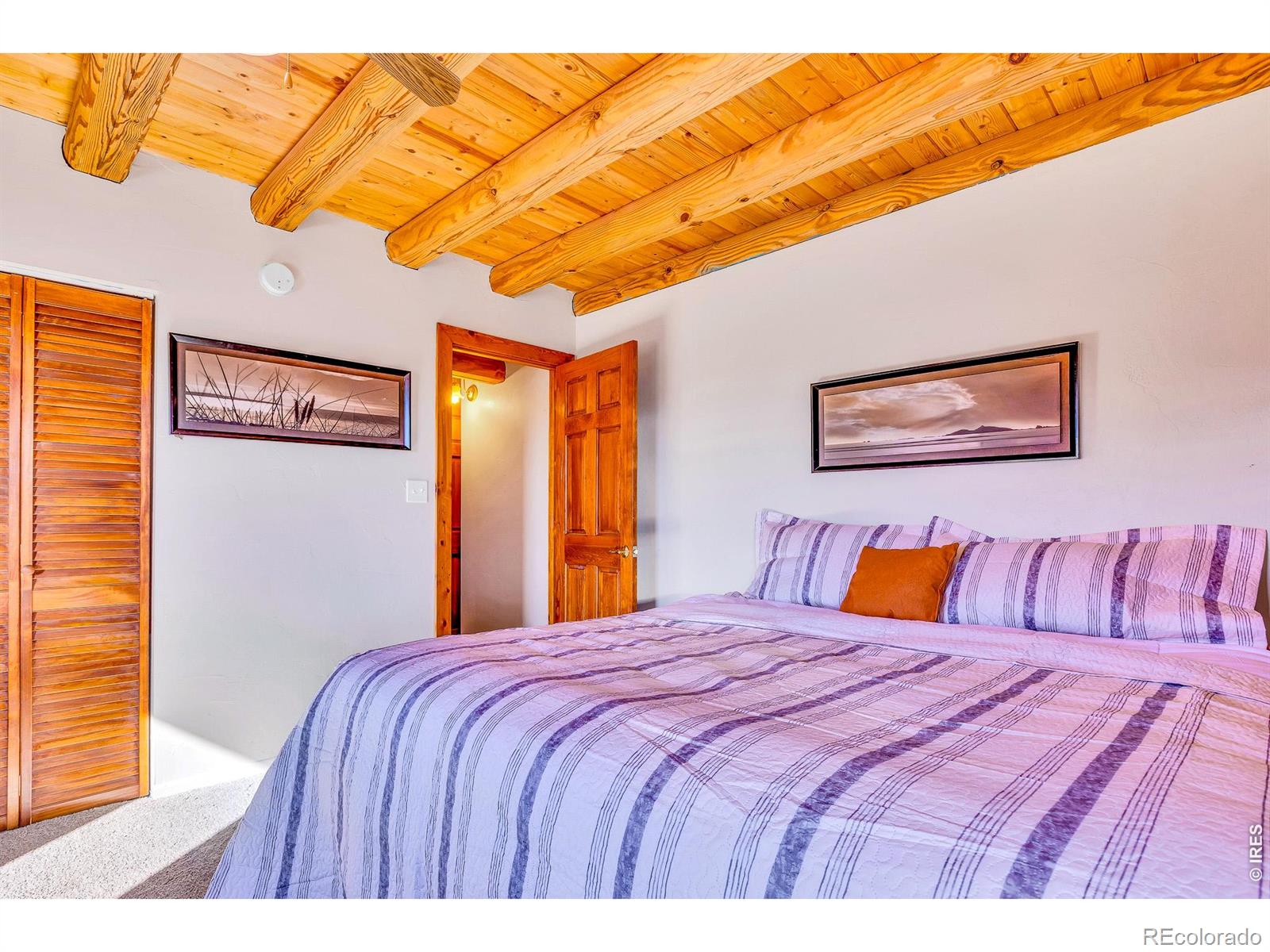 MLS Image #18 for 1528  silverheels road,fairplay, Colorado