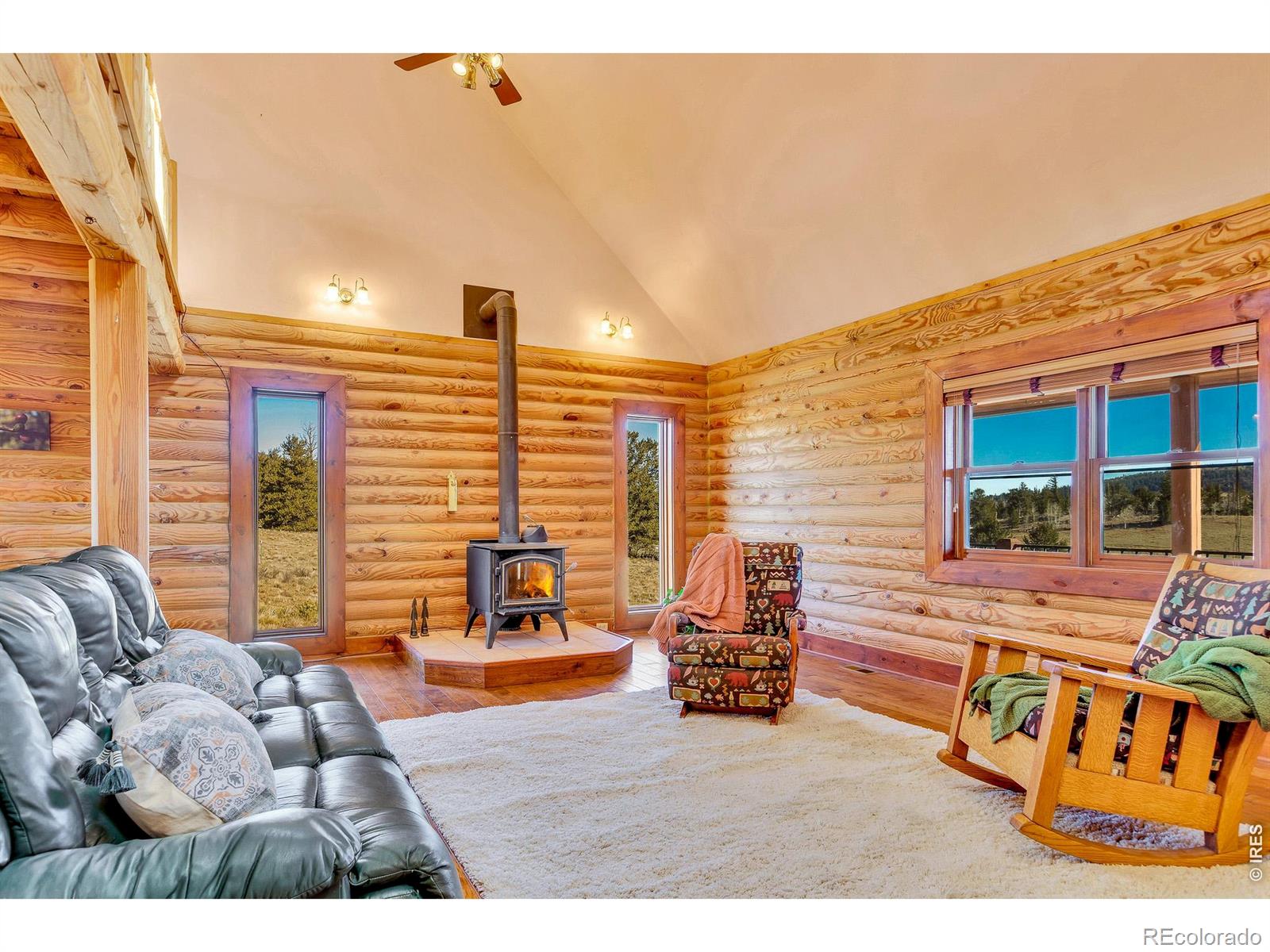 MLS Image #24 for 1528  silverheels road,fairplay, Colorado