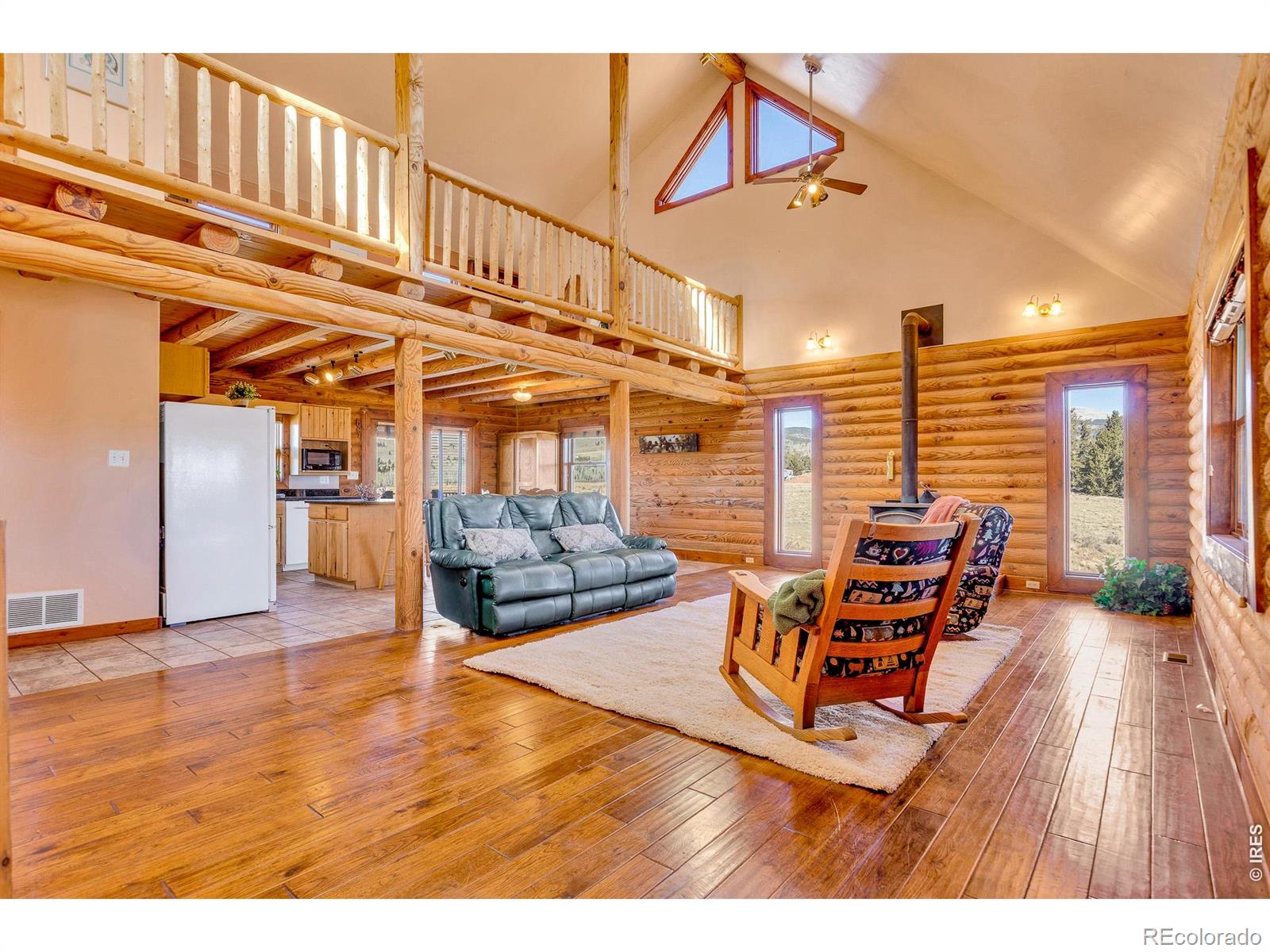 MLS Image #26 for 1528  silverheels road,fairplay, Colorado