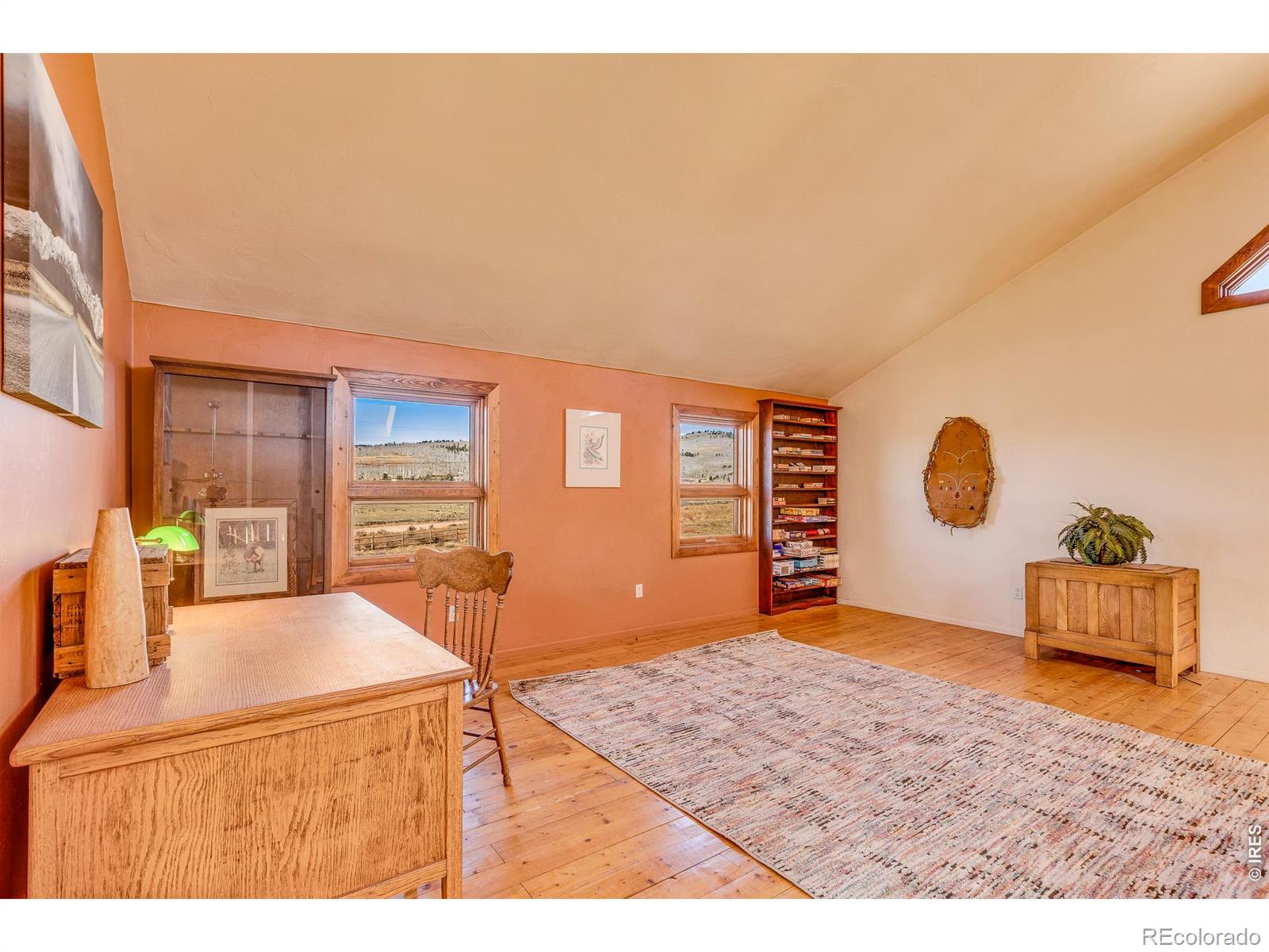 MLS Image #28 for 1528  silverheels road,fairplay, Colorado