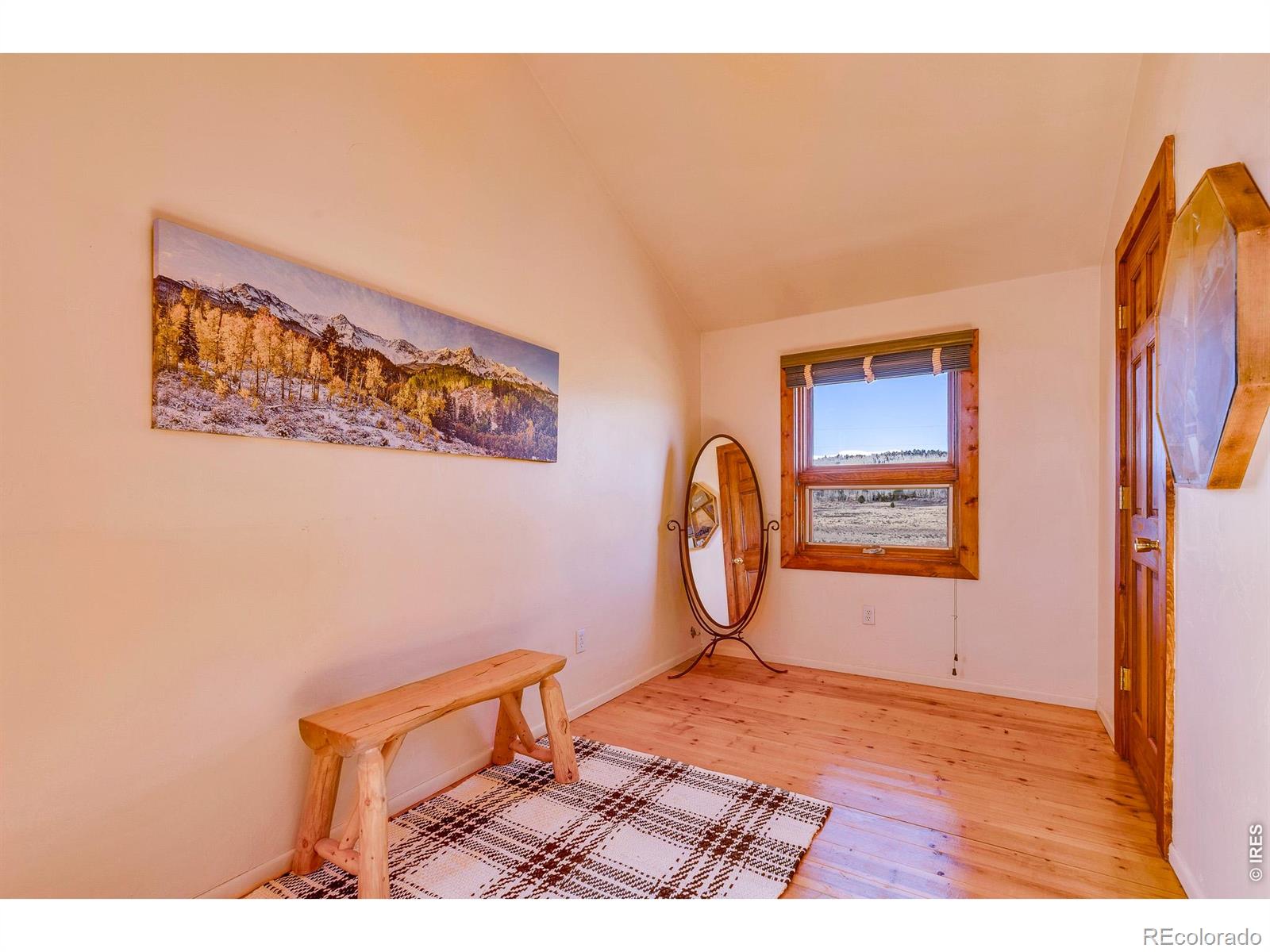 MLS Image #36 for 1528  silverheels road,fairplay, Colorado