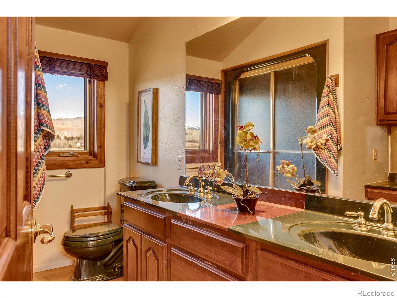 MLS Image #43 for 1528  silverheels road,fairplay, Colorado