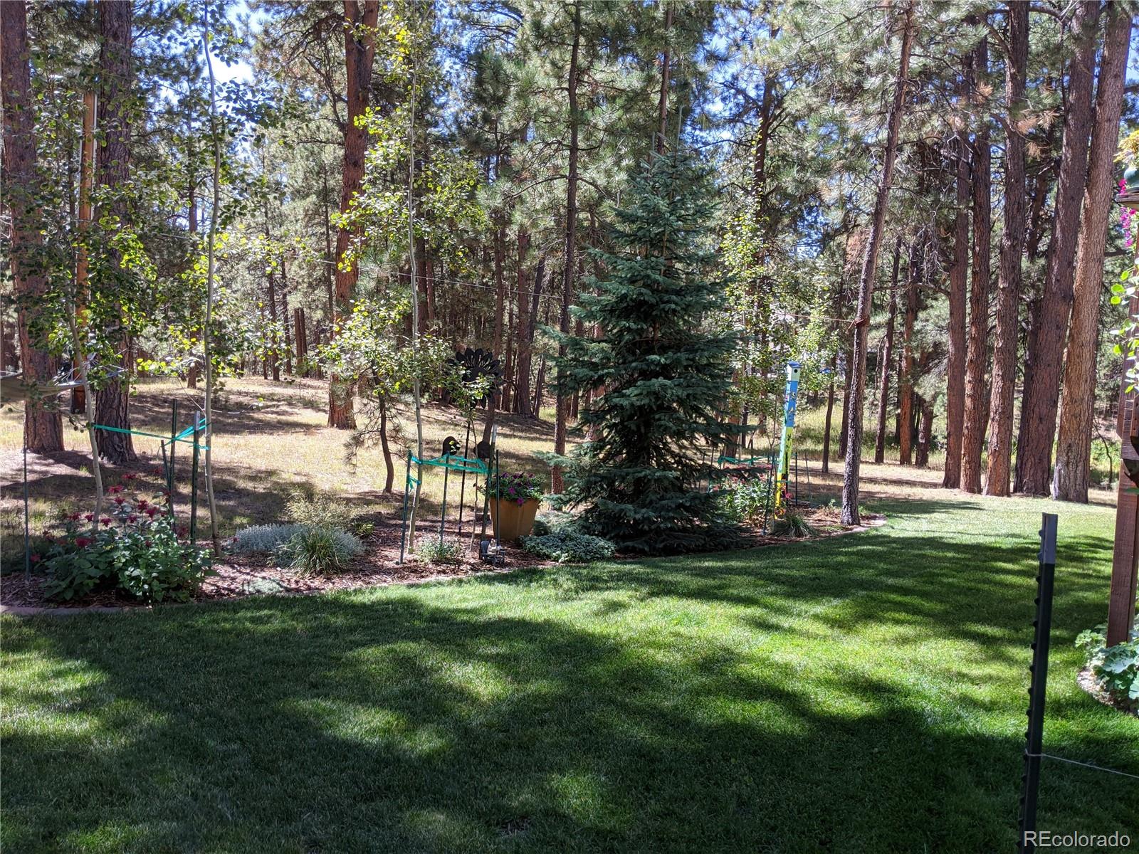 MLS Image #3 for 19015  royal archers lane,monument, Colorado