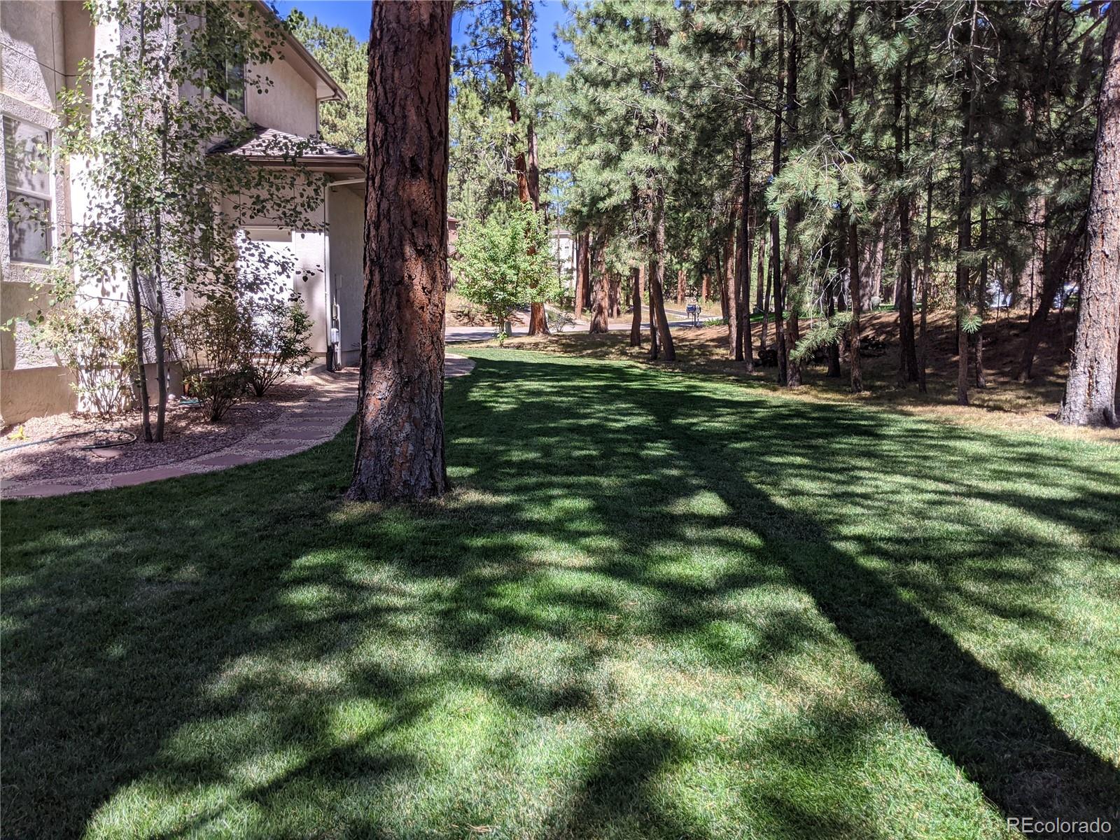 MLS Image #4 for 19015  royal archers lane,monument, Colorado