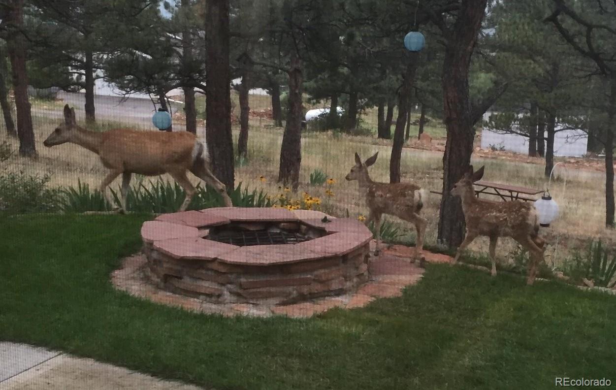 MLS Image #21 for 4000  fawn trail,loveland, Colorado
