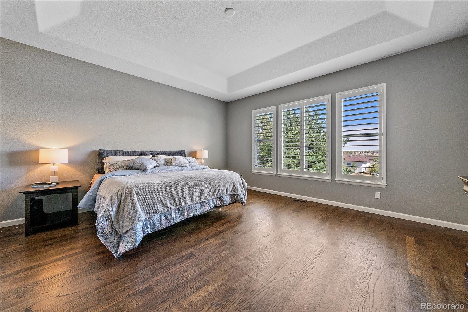 MLS Image #16 for 12148  elton way,parker, Colorado