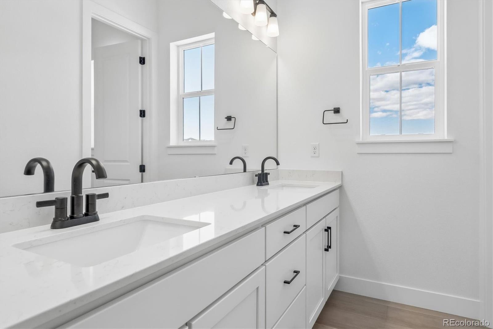MLS Image #6 for 8610  yellowcress street,littleton, Colorado