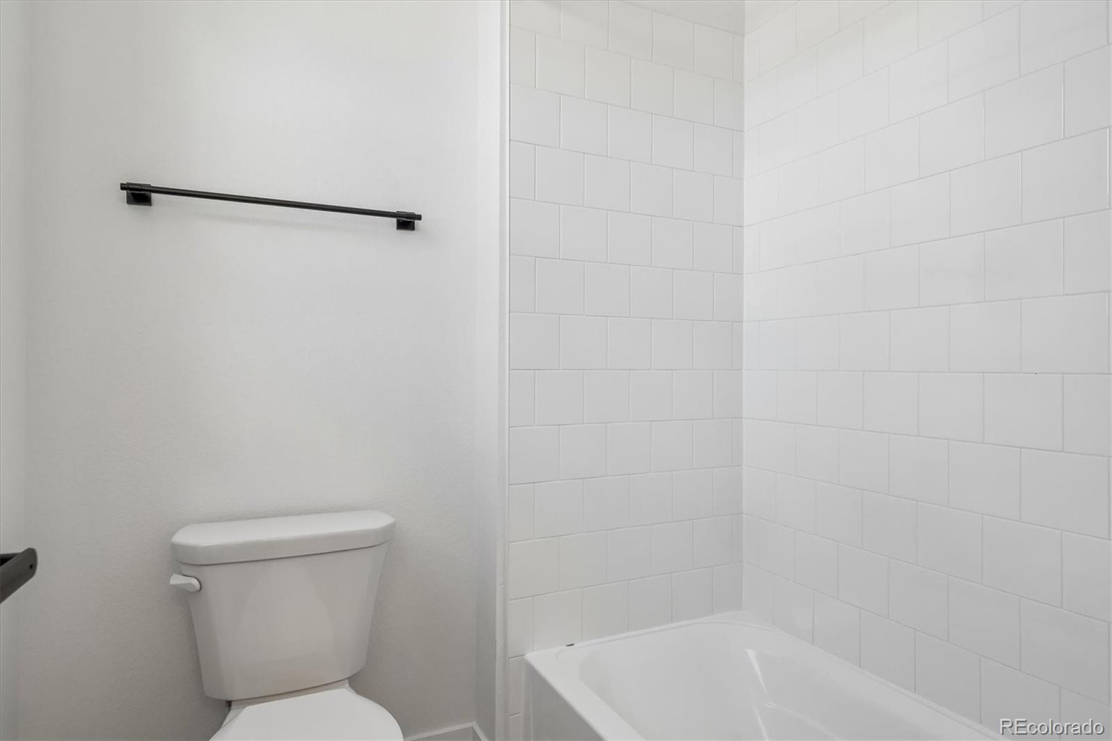 MLS Image #7 for 8610  yellowcress street,littleton, Colorado