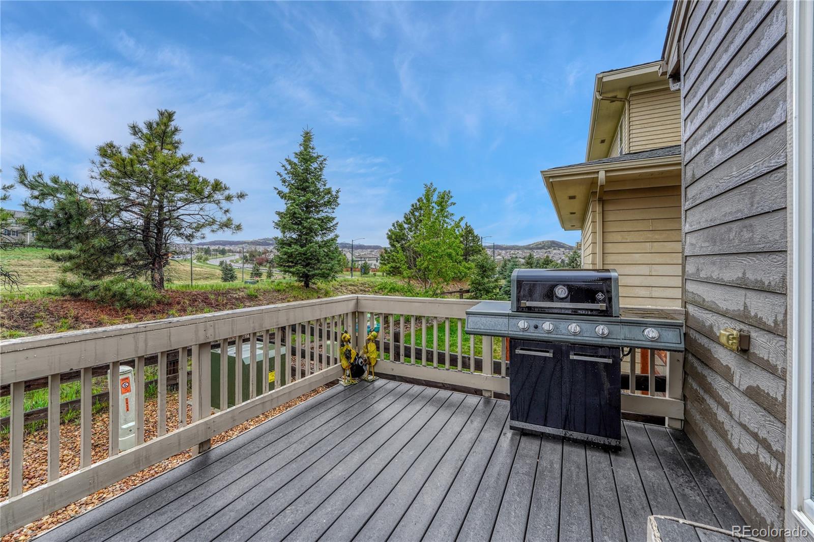 MLS Image #44 for 3434  fantasy place,castle rock, Colorado