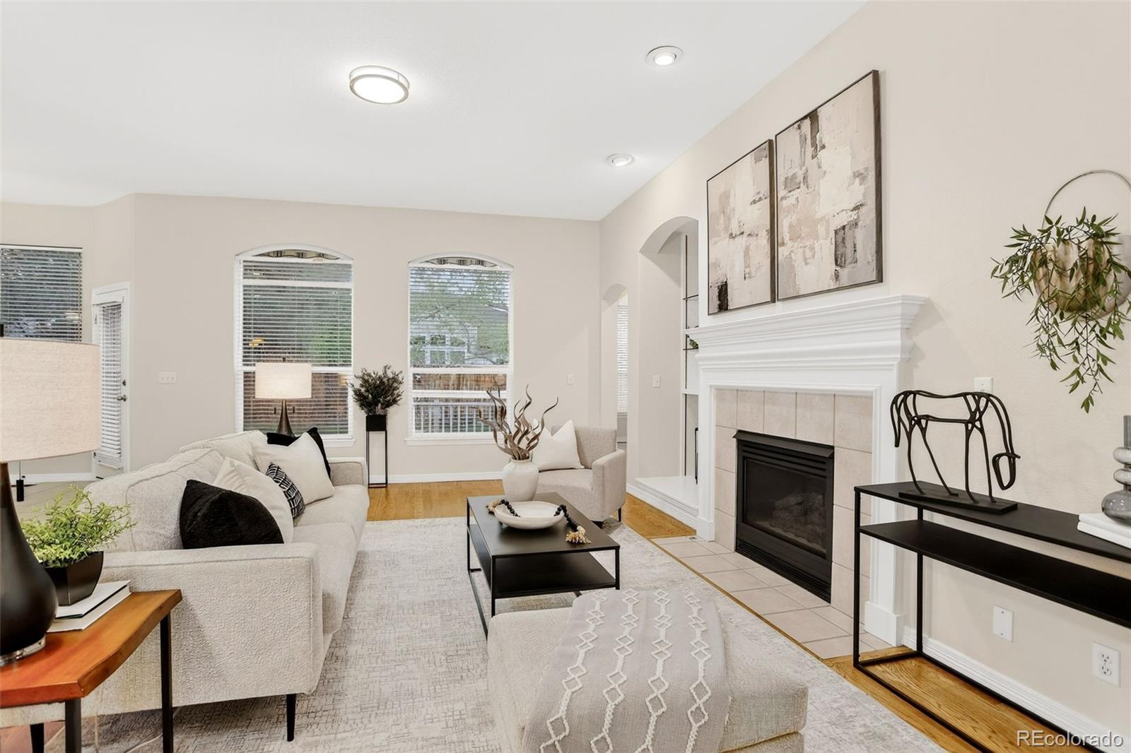 MLS Image #11 for 294  sylvestor place,highlands ranch, Colorado