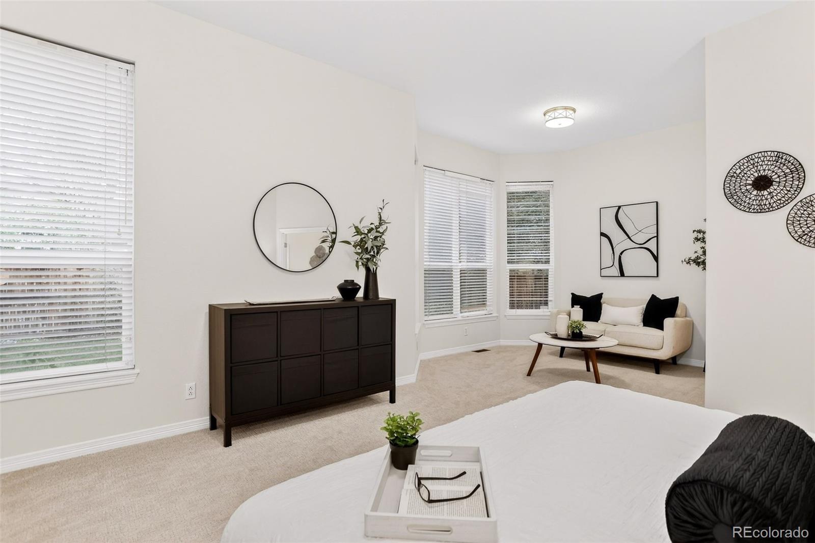 MLS Image #21 for 294  sylvestor place,highlands ranch, Colorado