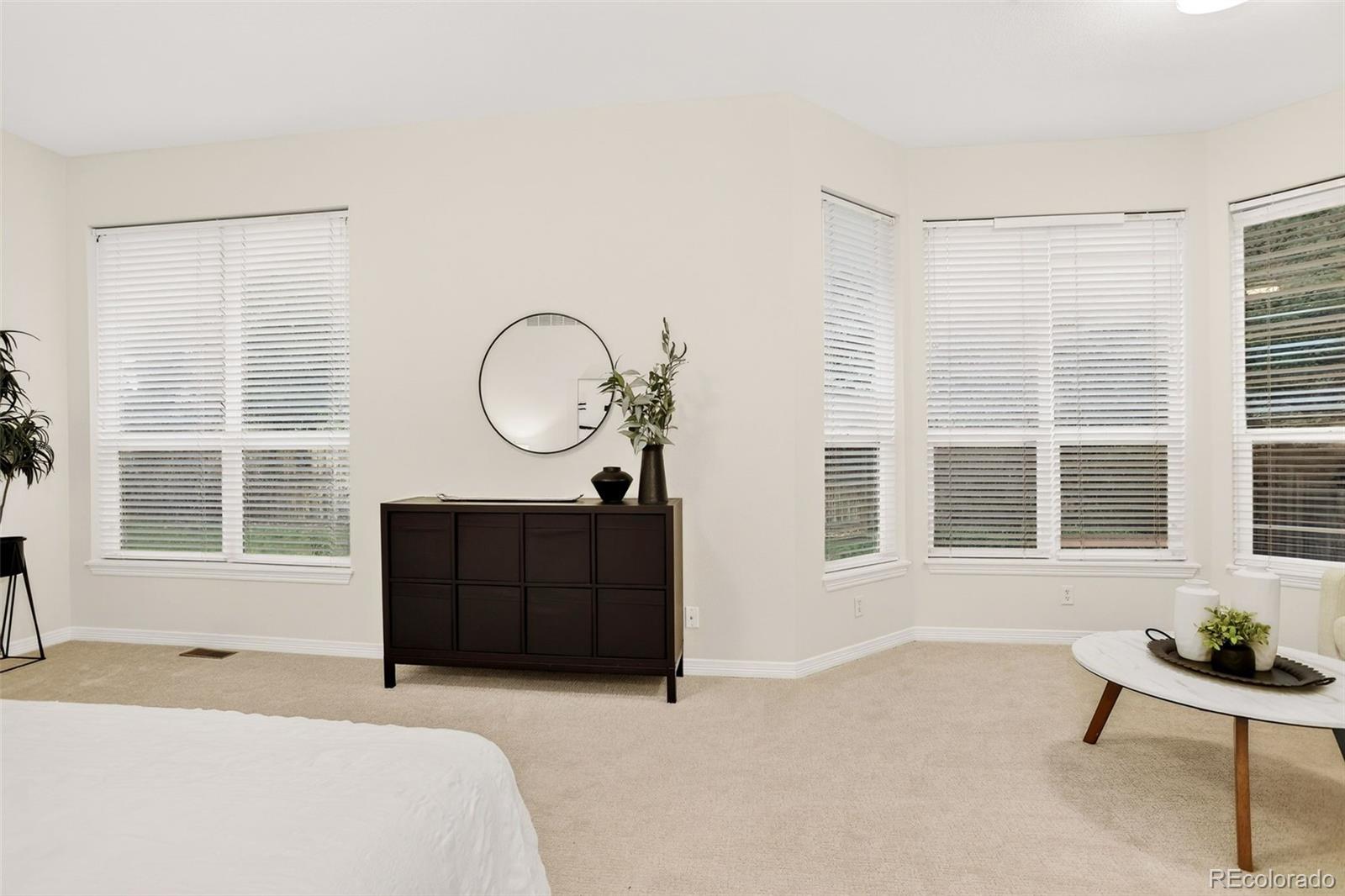 MLS Image #23 for 294  sylvestor place,highlands ranch, Colorado