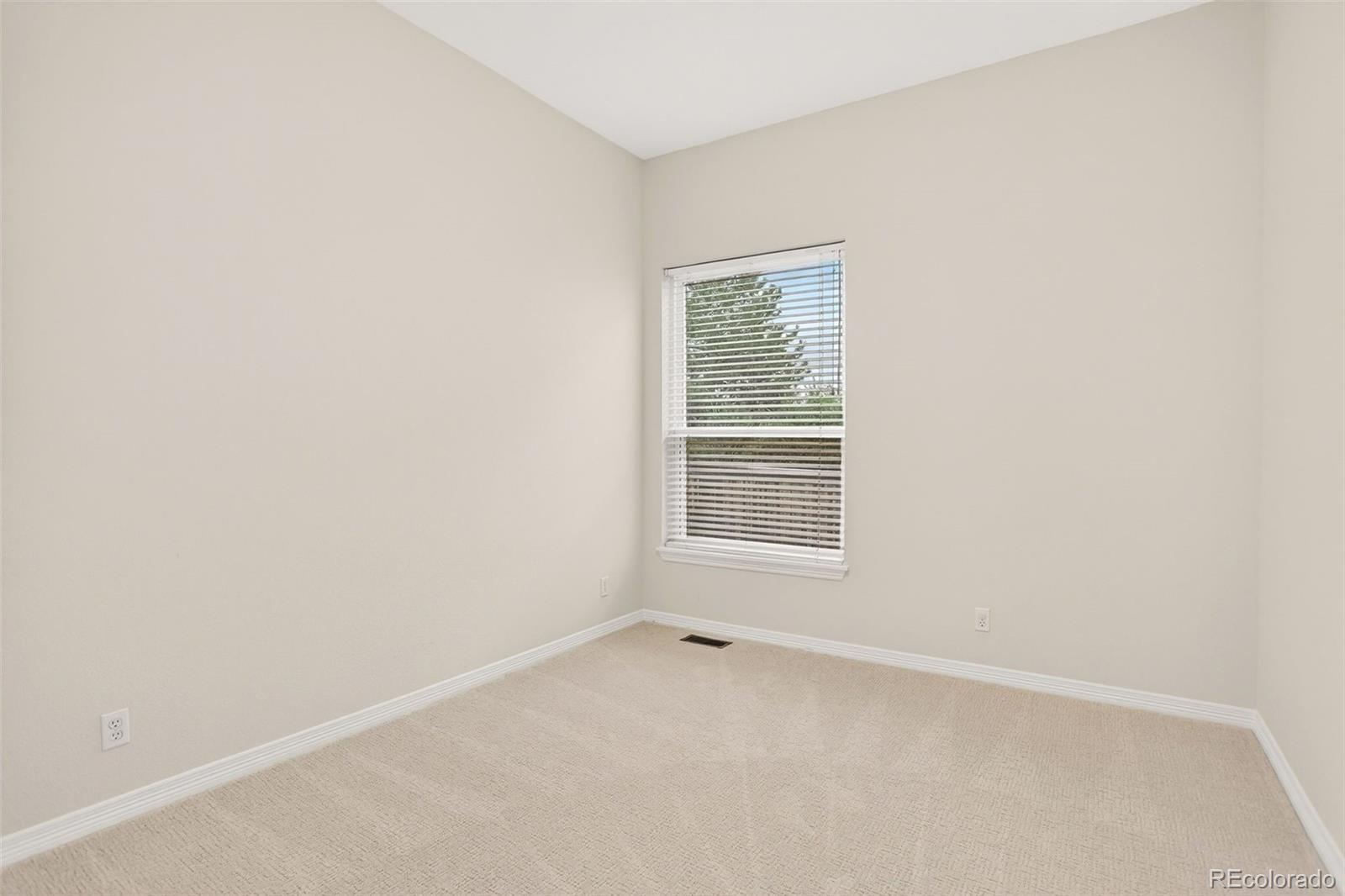MLS Image #28 for 294  sylvestor place,highlands ranch, Colorado