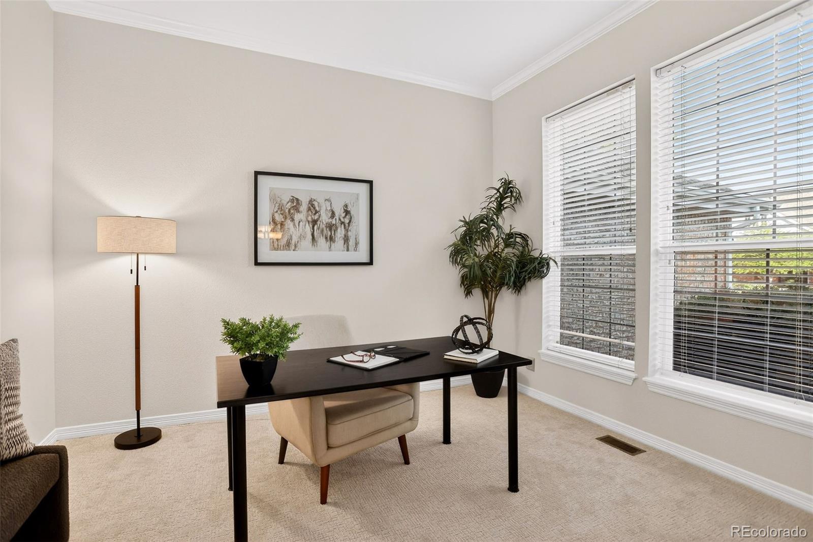 MLS Image #7 for 294  sylvestor place,highlands ranch, Colorado