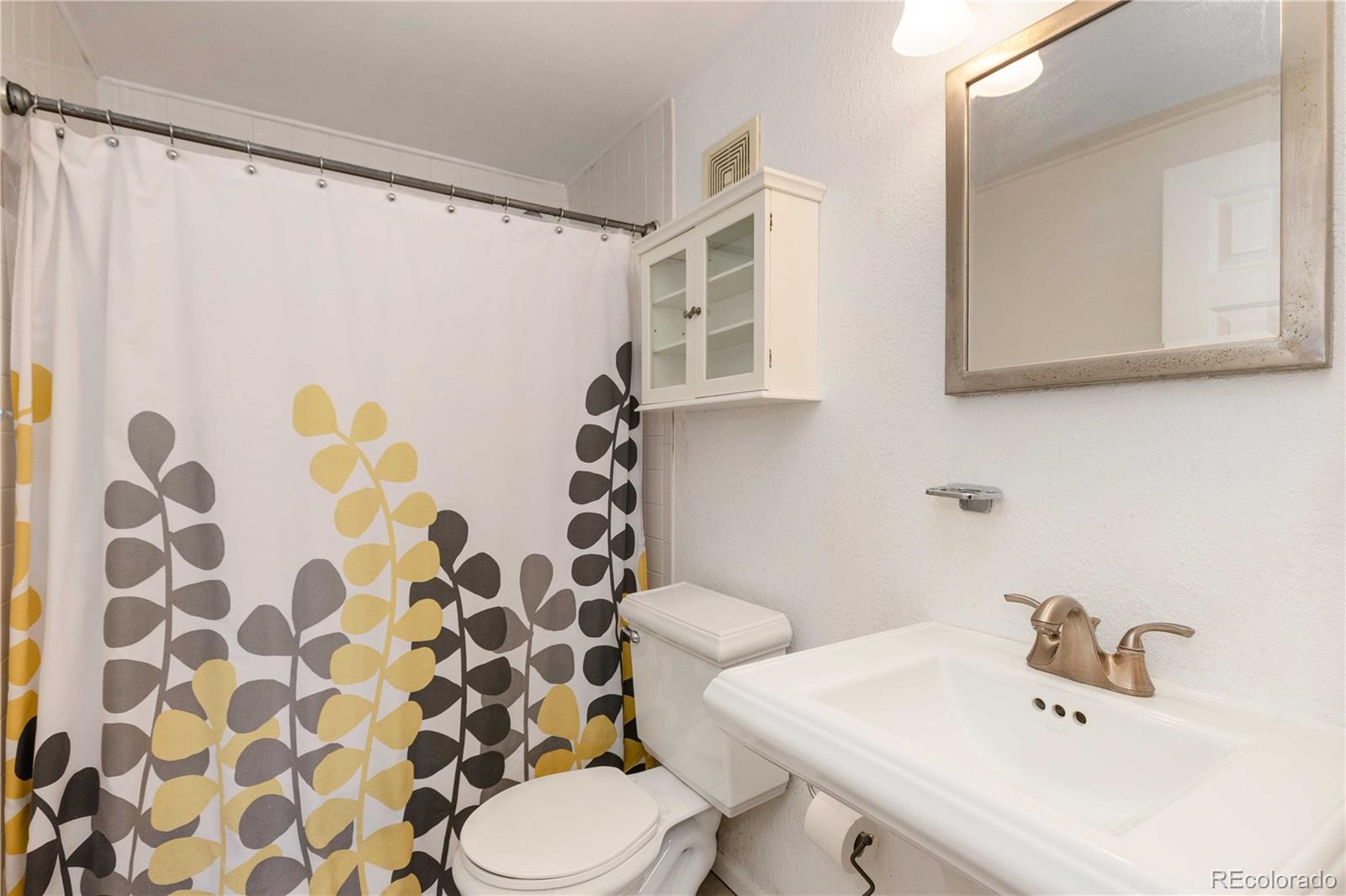 MLS Image #19 for 2944  zuni street,denver, Colorado