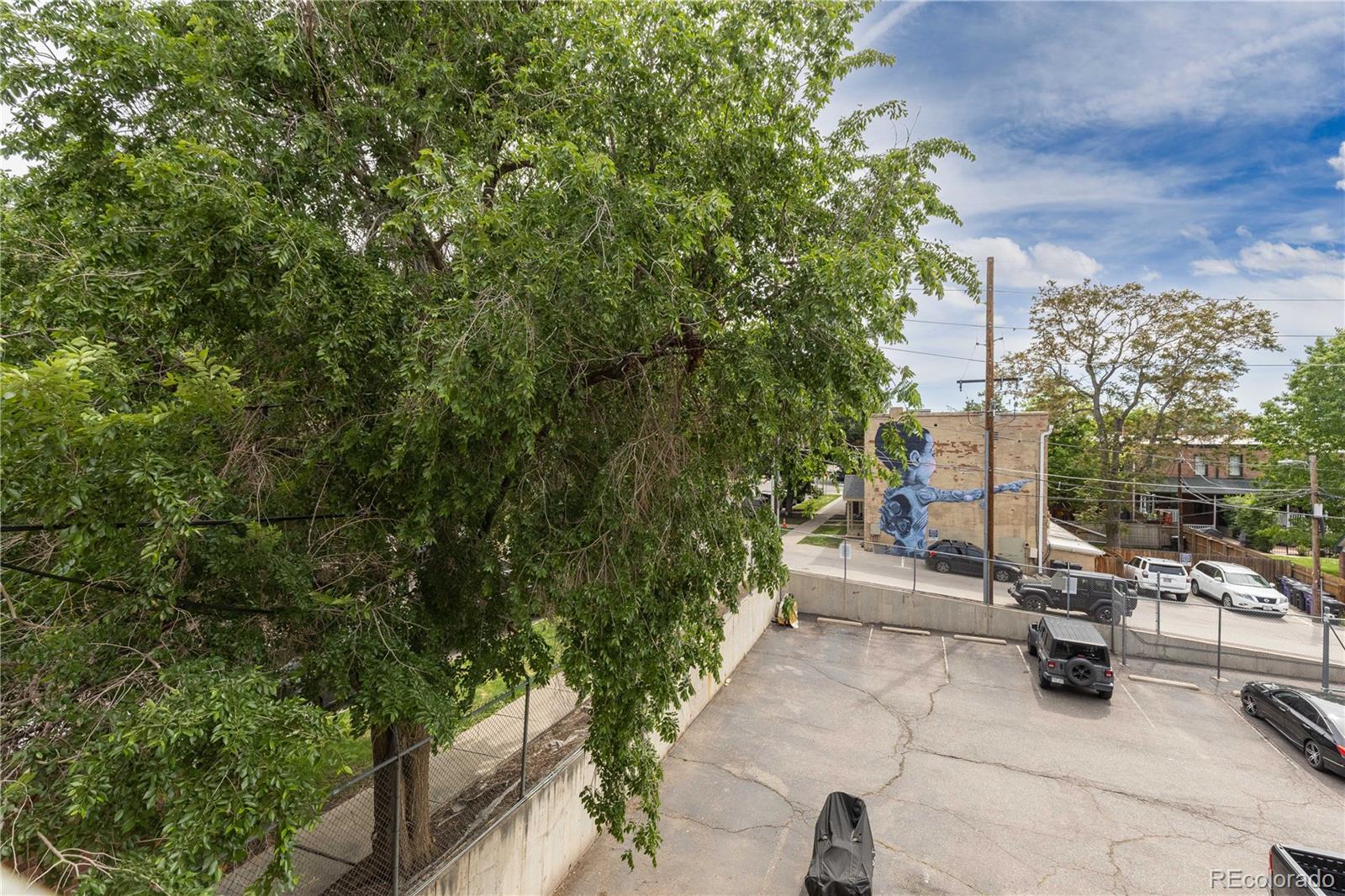 MLS Image #20 for 2944  zuni street,denver, Colorado