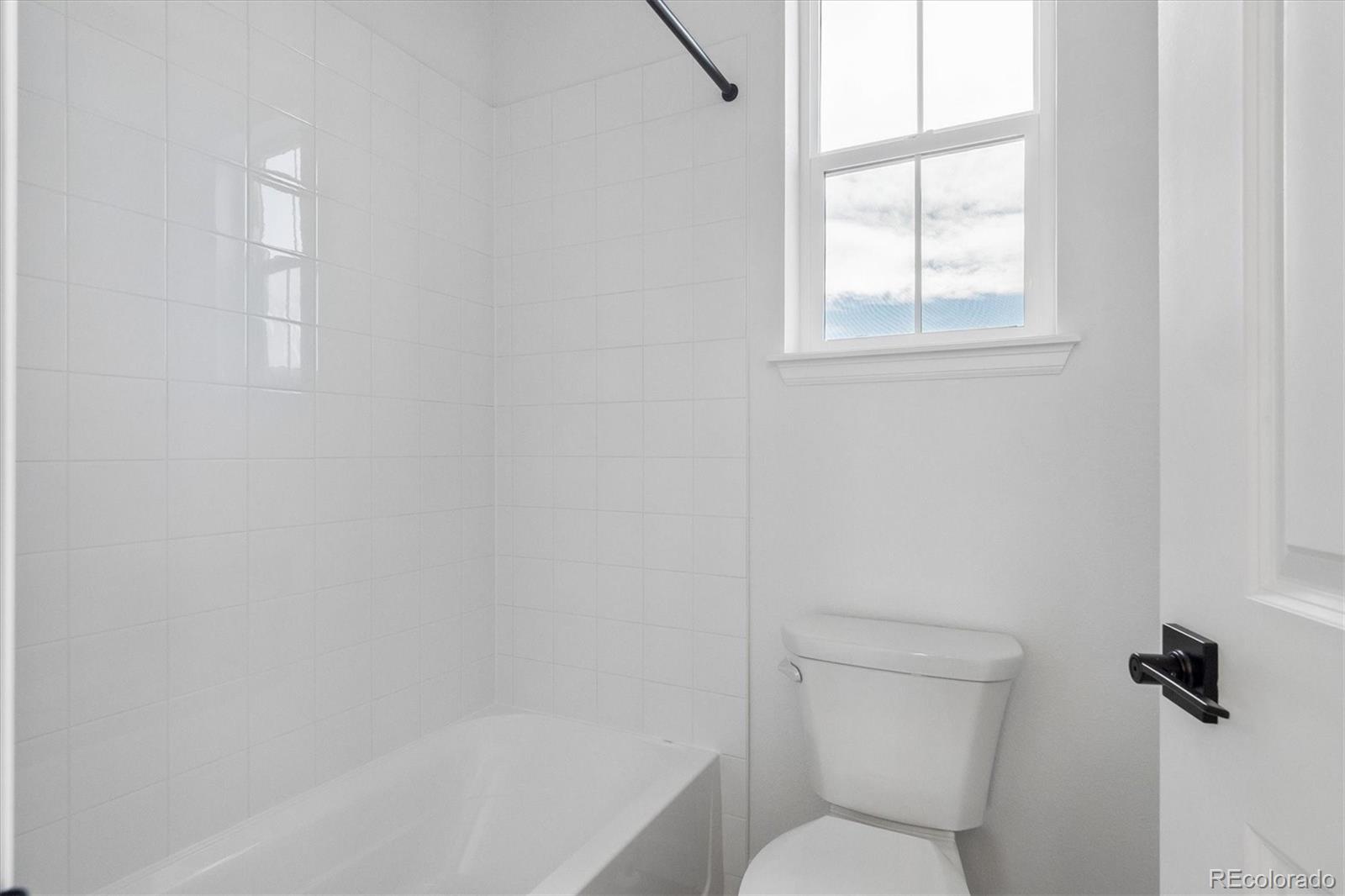 MLS Image #20 for 1715  green fern point,castle rock, Colorado