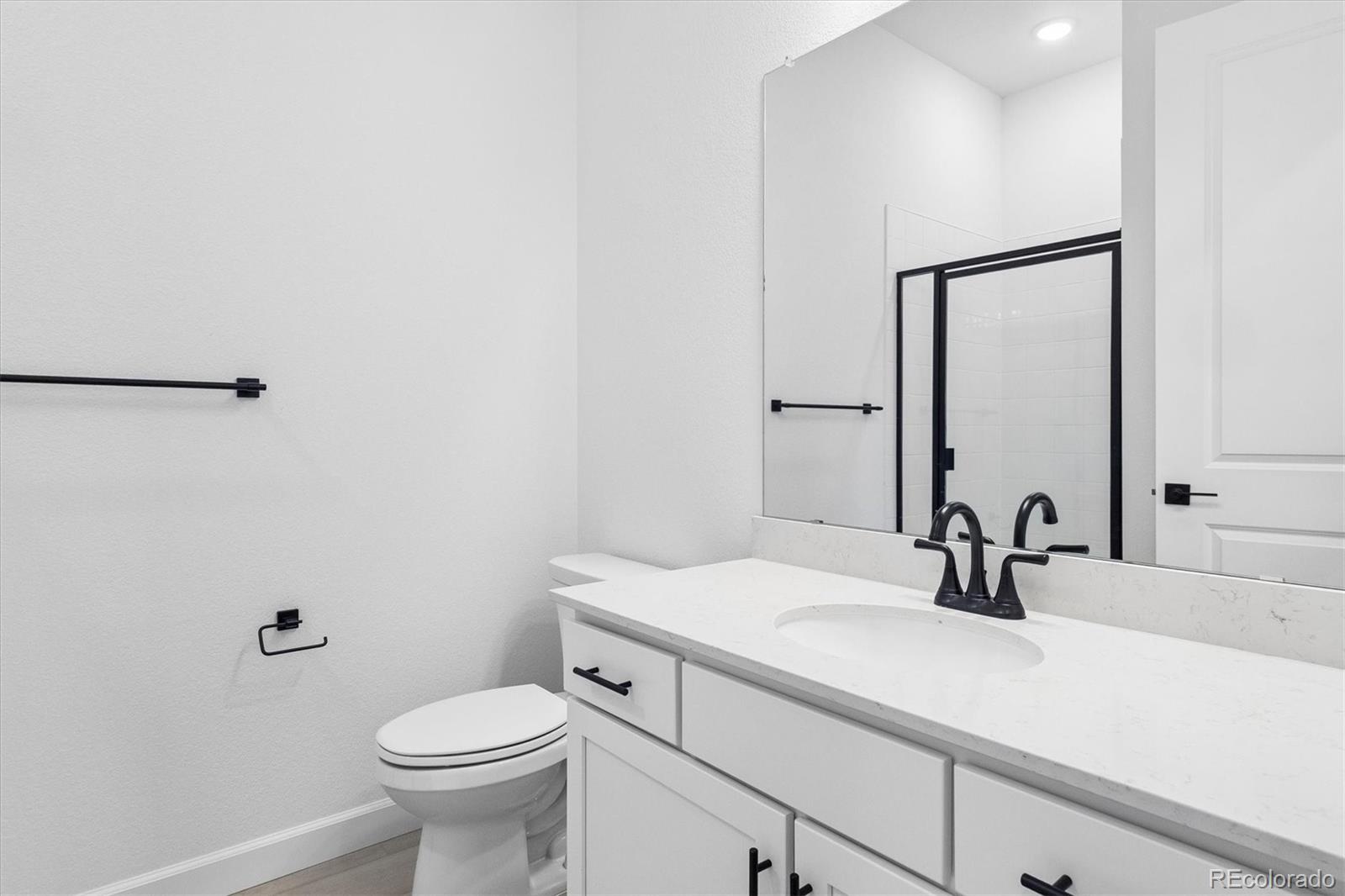 MLS Image #7 for 1715  green fern point,castle rock, Colorado