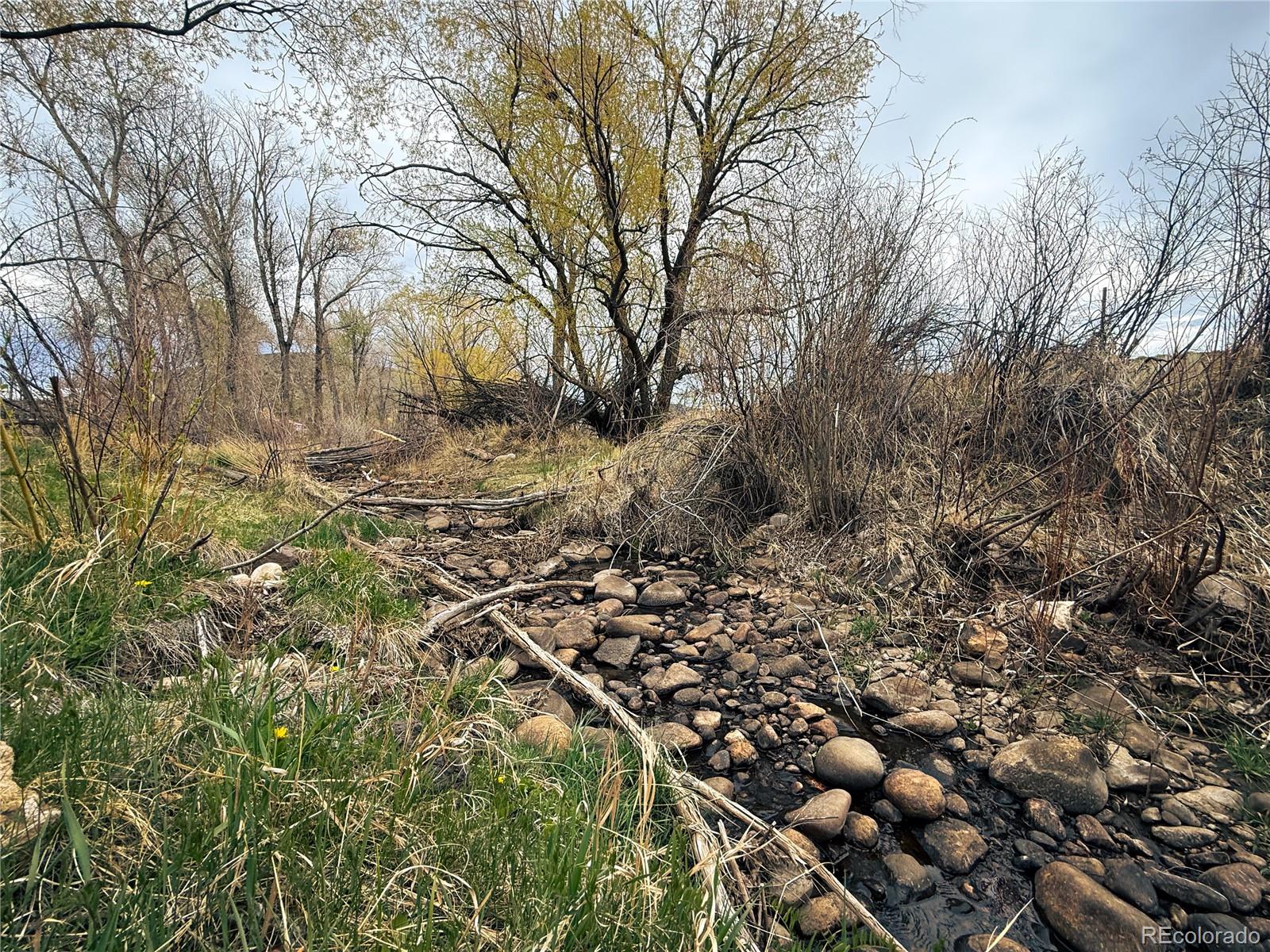 MLS Image #36 for 7190  county road 22.8 ,san luis, Colorado