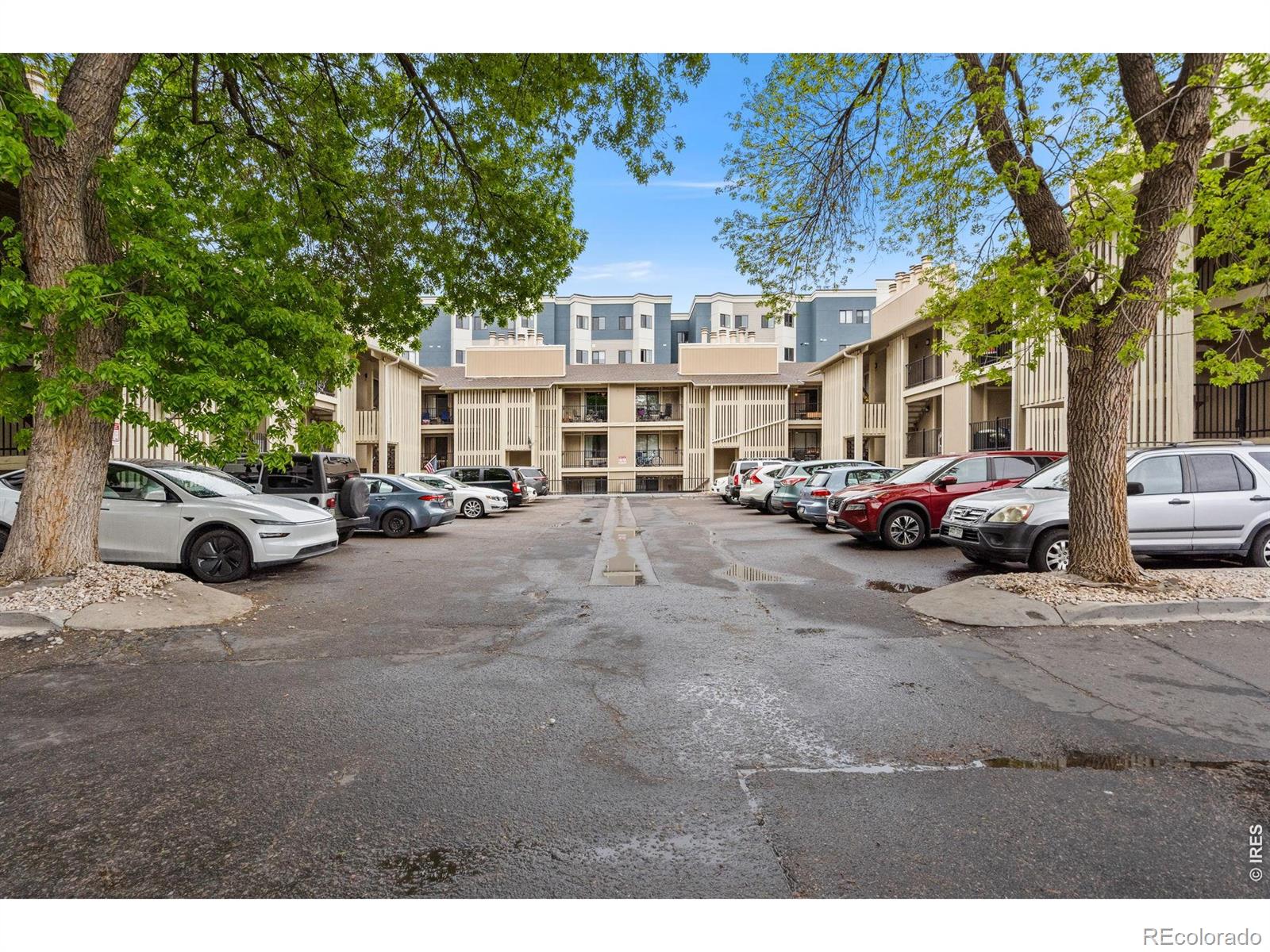 MLS Image #1 for 1209 w plum street,fort collins, Colorado