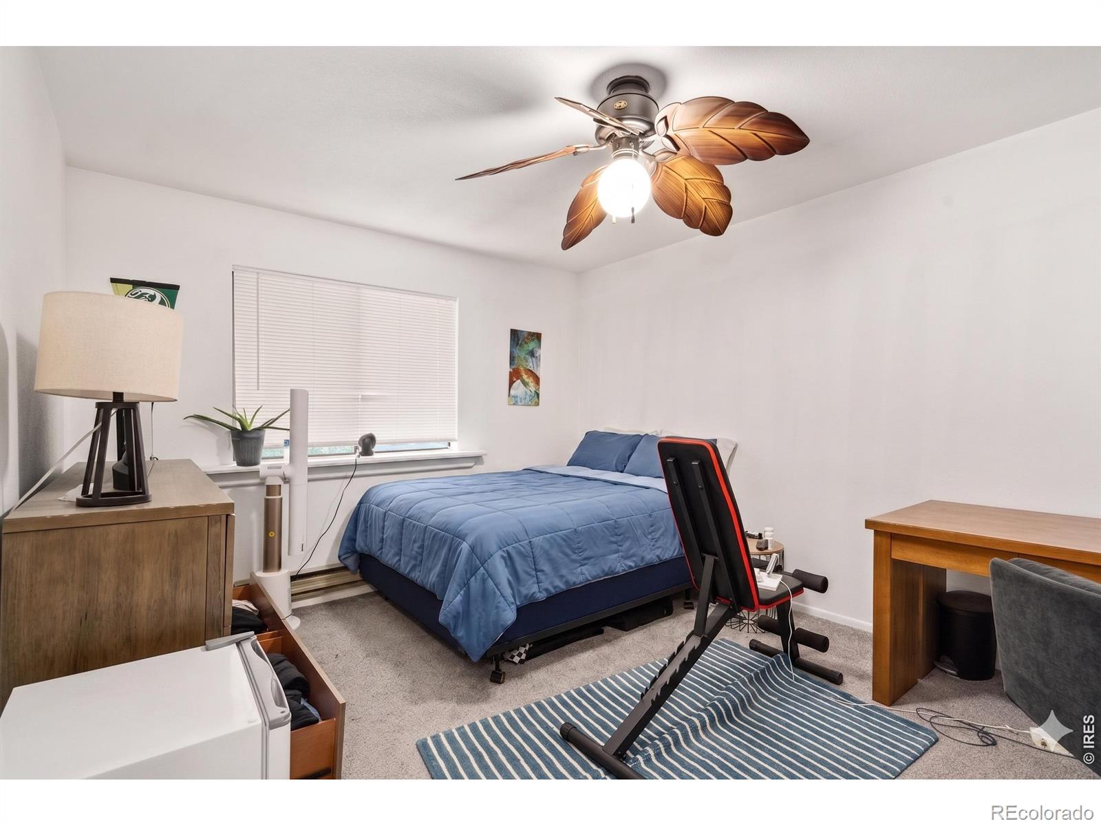 MLS Image #10 for 1209 w plum street,fort collins, Colorado
