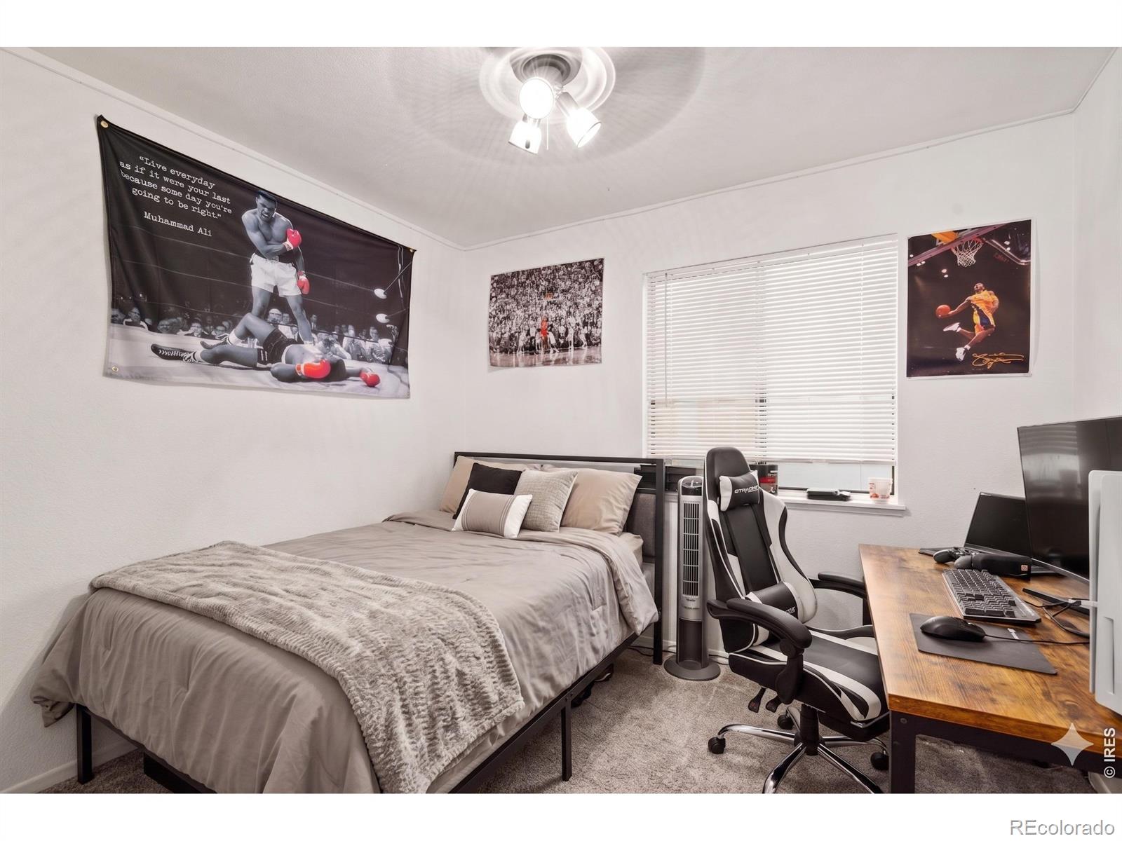 MLS Image #12 for 1209 w plum street,fort collins, Colorado