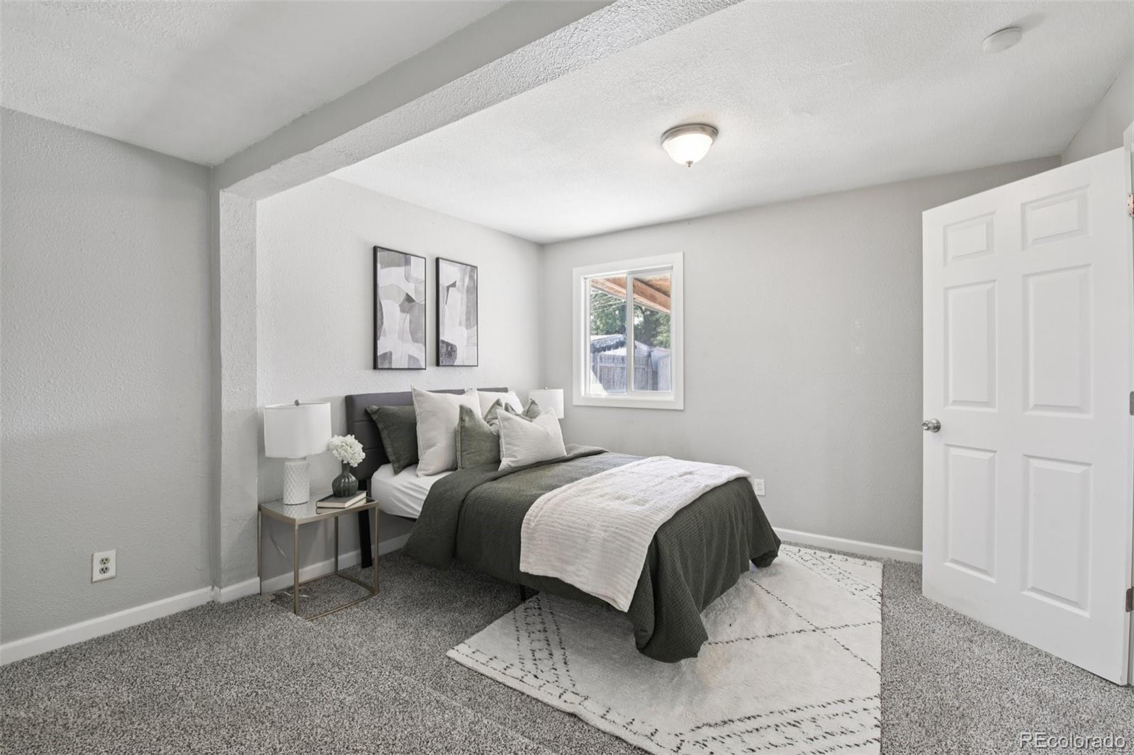 MLS Image #10 for 4161  milwaukee street,denver, Colorado