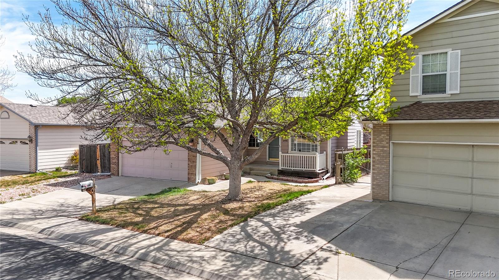 MLS Image #34 for 12998  grove way,broomfield, Colorado