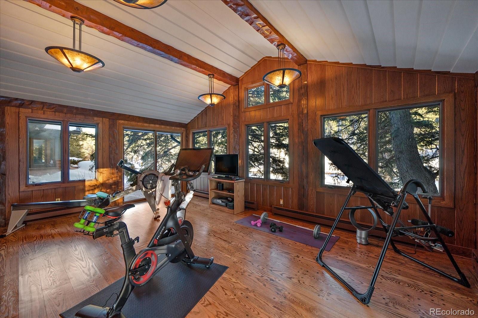 MLS Image #22 for 32453  upper bear creek road,evergreen, Colorado