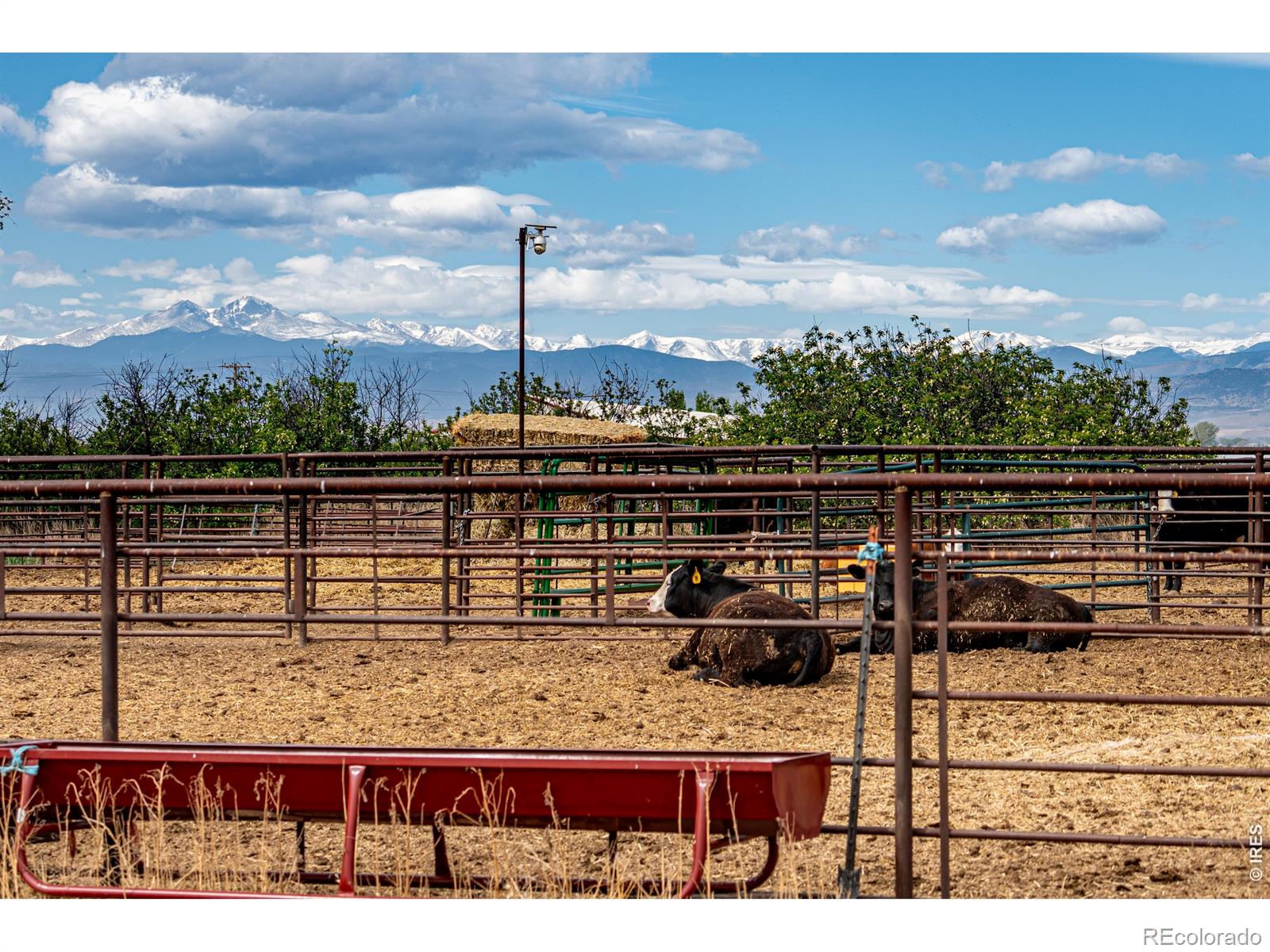 MLS Image #30 for 11529  county road 78 ,eaton, Colorado