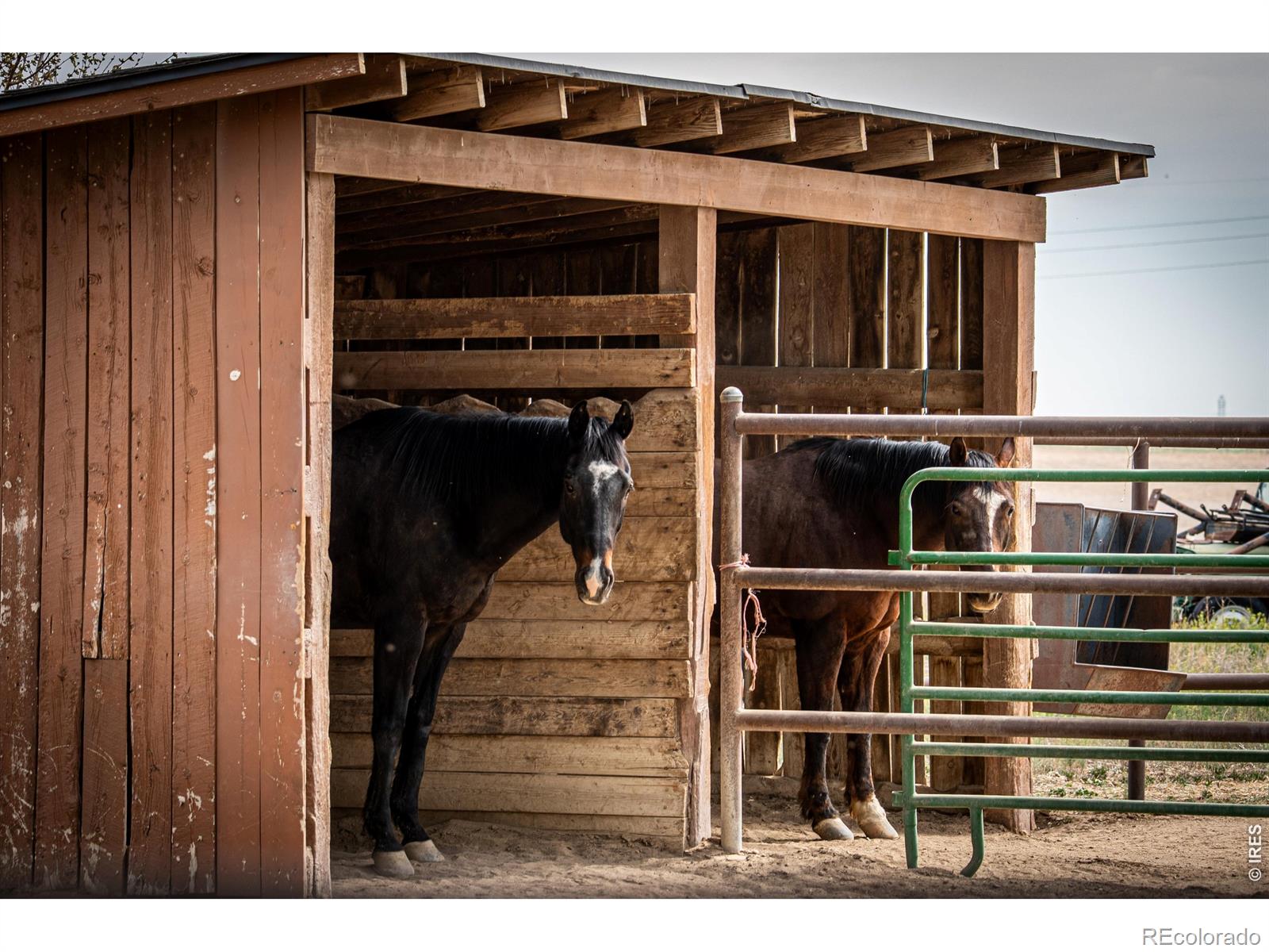 MLS Image #31 for 11529  county road 78 ,eaton, Colorado