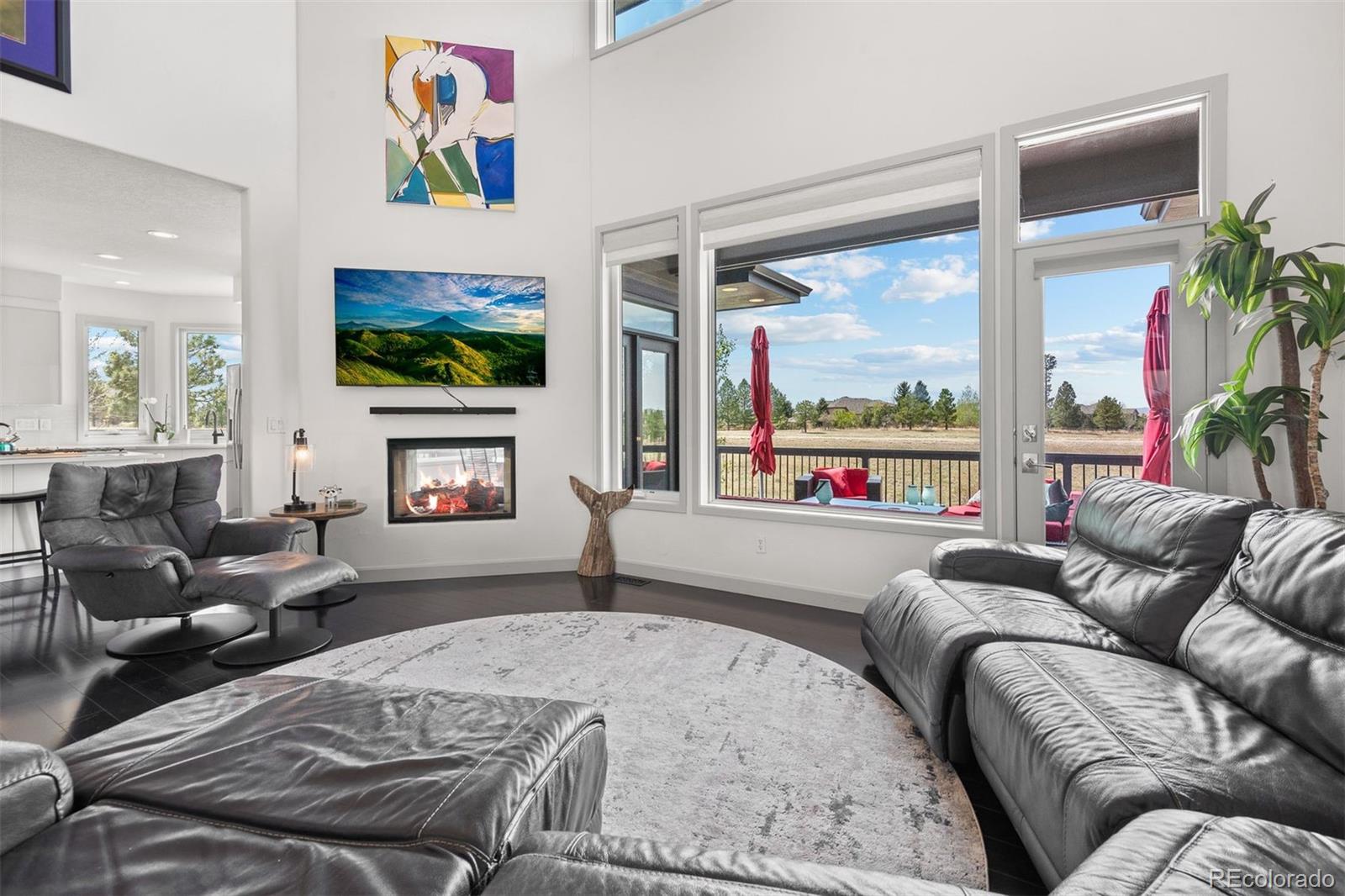 MLS Image #12 for 5602  silver bluff court,parker, Colorado