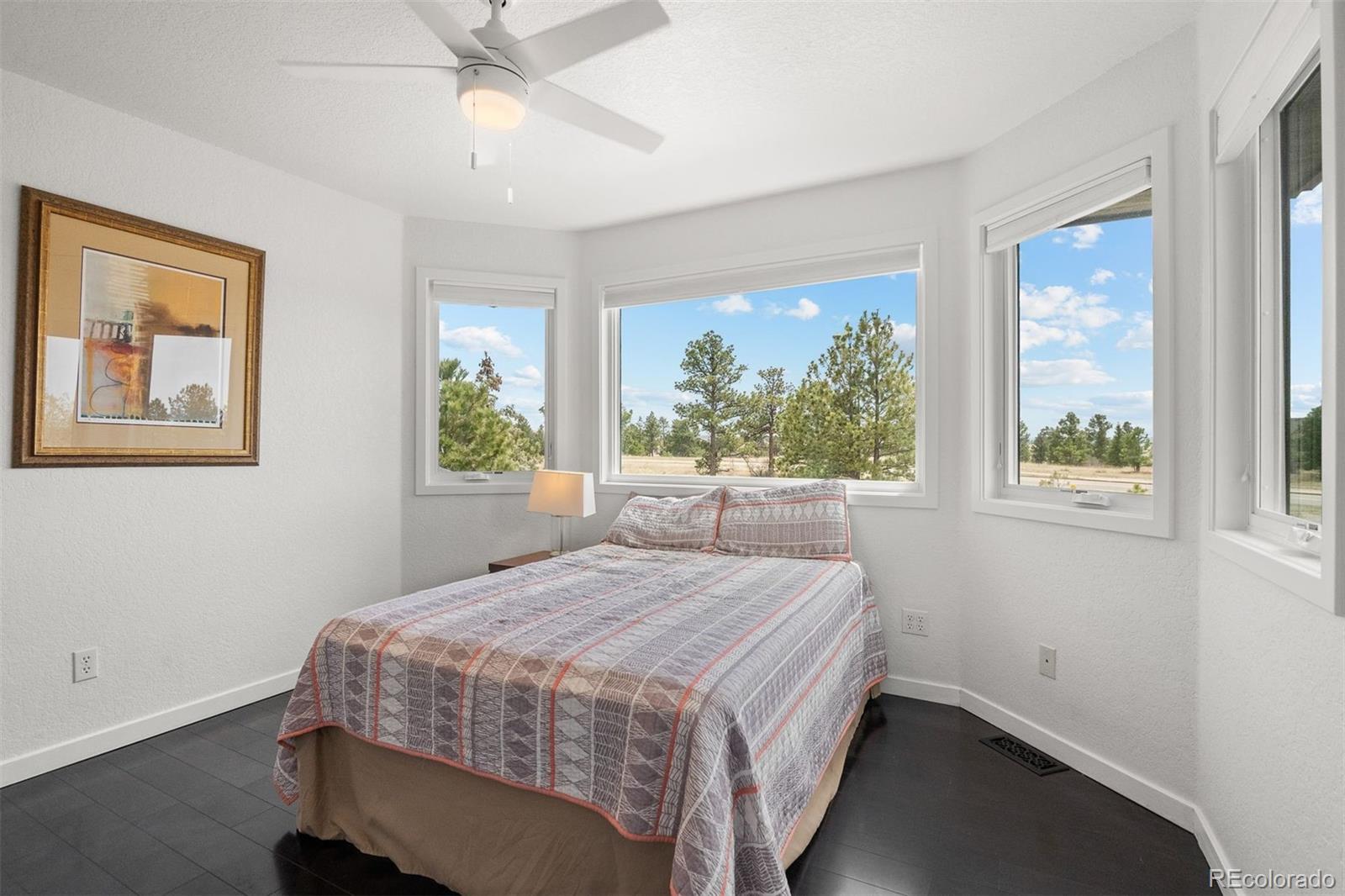 MLS Image #33 for 5602  silver bluff court,parker, Colorado