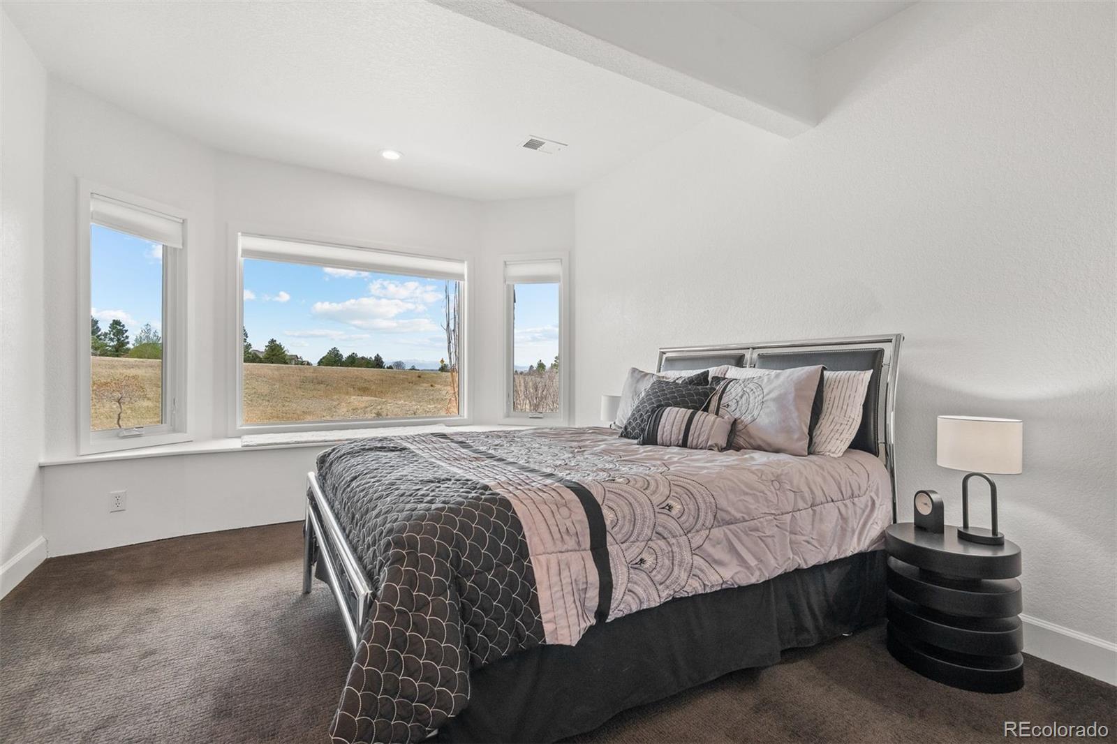 MLS Image #37 for 5602  silver bluff court,parker, Colorado