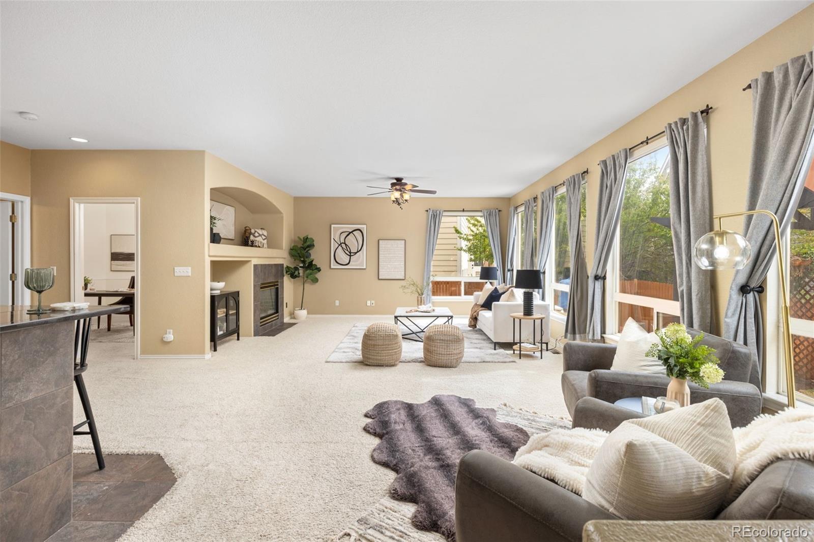MLS Image #13 for 9515 s bluebead way,parker, Colorado