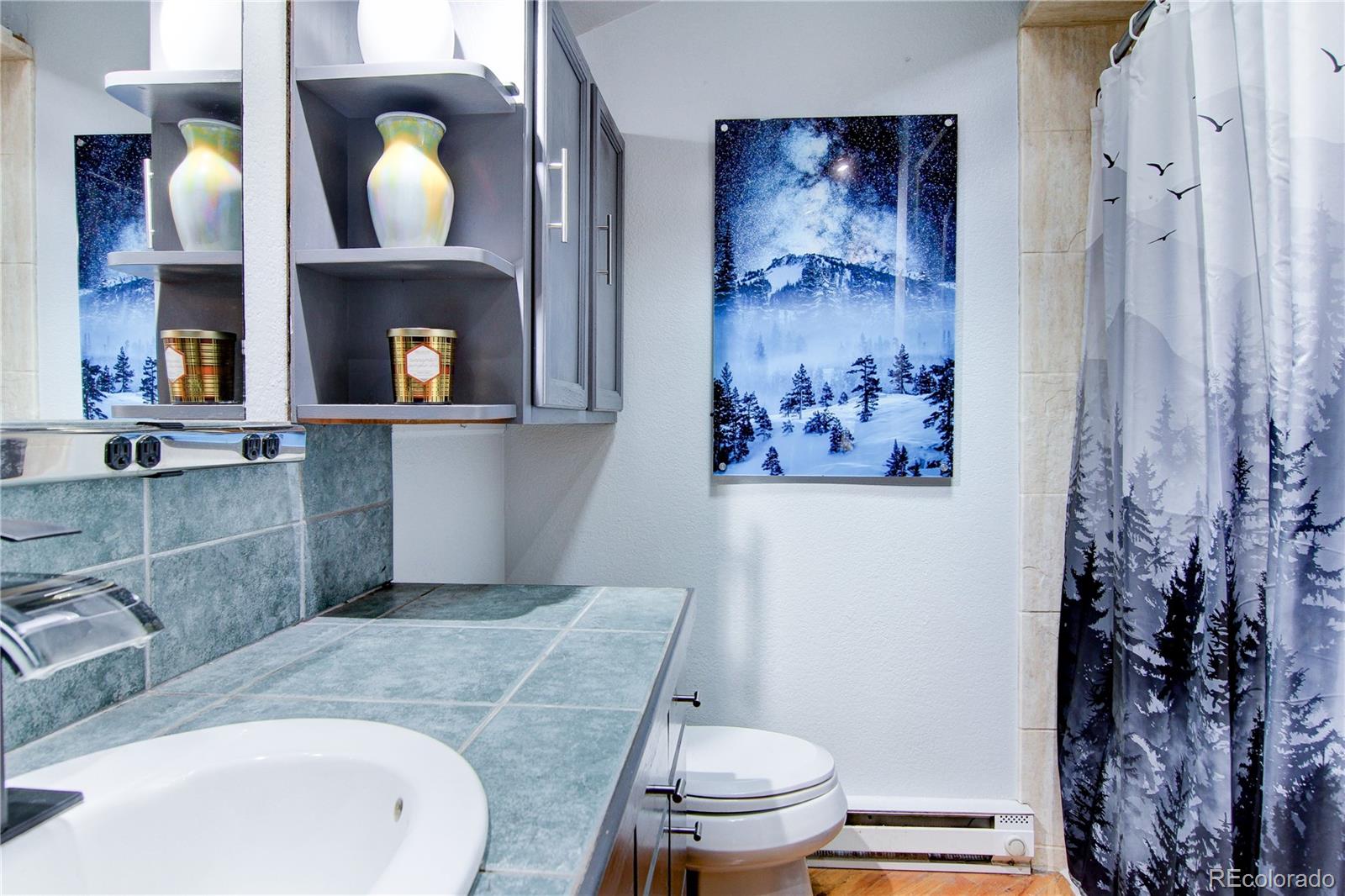 MLS Image #26 for 249  mesa drive,evergreen, Colorado