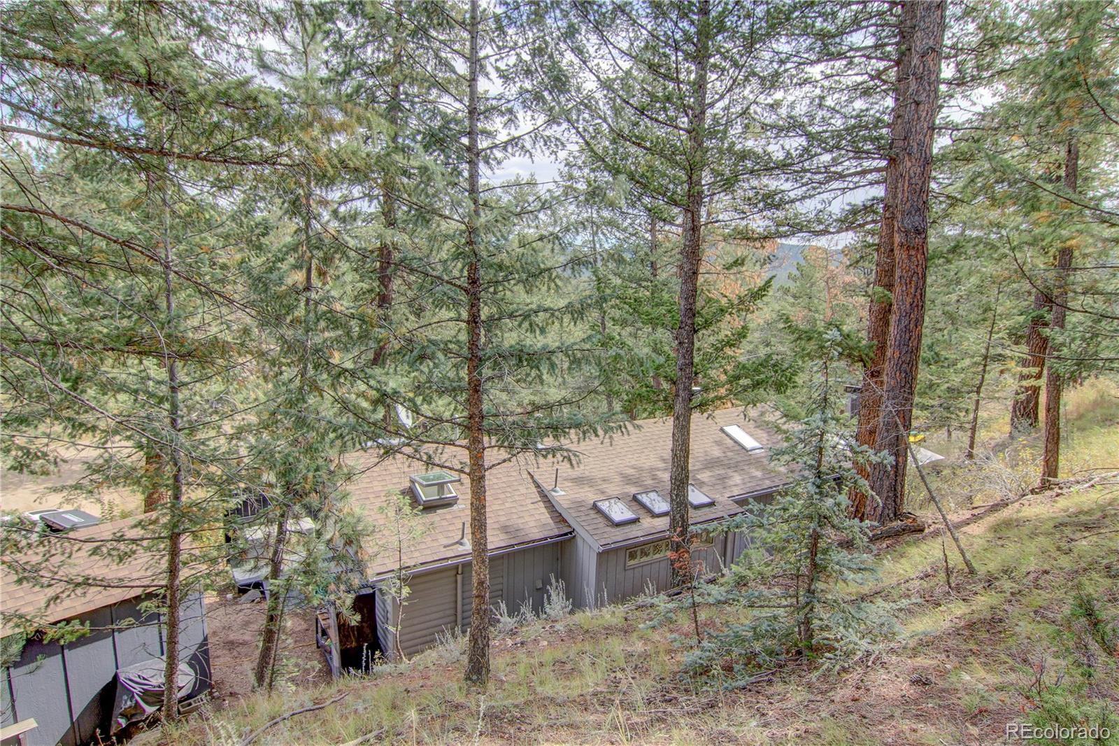 MLS Image #9 for 249  mesa drive,evergreen, Colorado