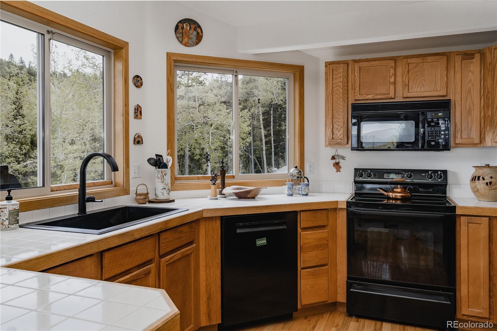 MLS Image #10 for 254  aspenwood lane,evergreen, Colorado
