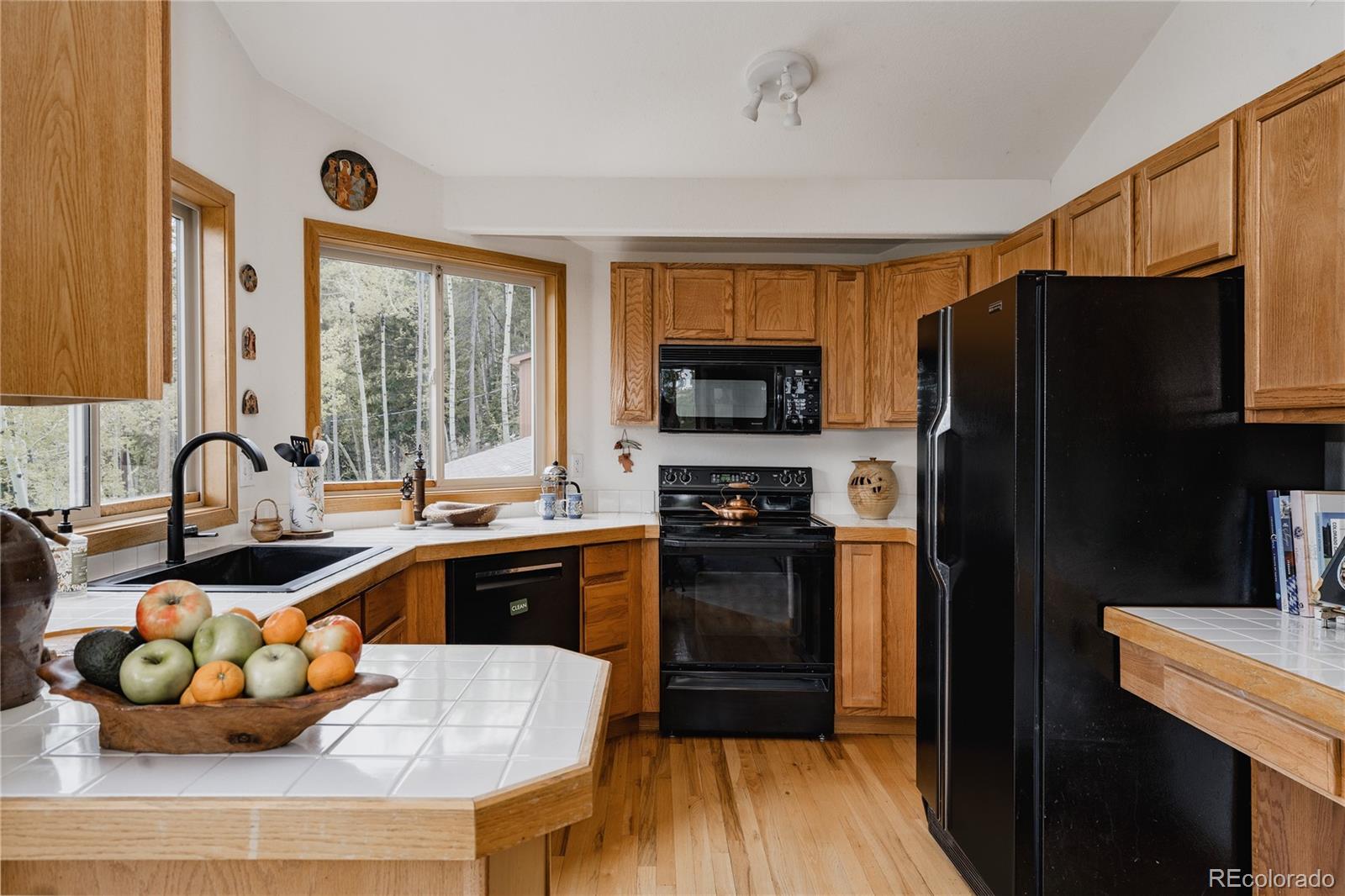 MLS Image #11 for 254  aspenwood lane,evergreen, Colorado