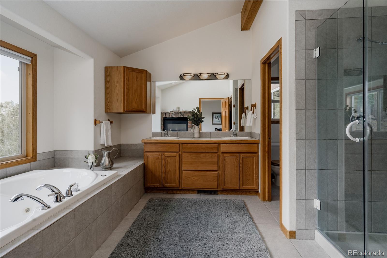 MLS Image #16 for 254  aspenwood lane,evergreen, Colorado