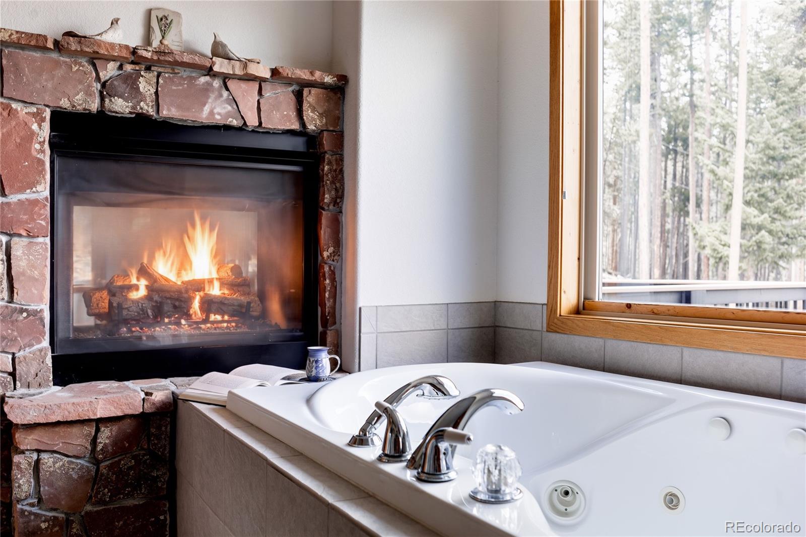 MLS Image #17 for 254  aspenwood lane,evergreen, Colorado