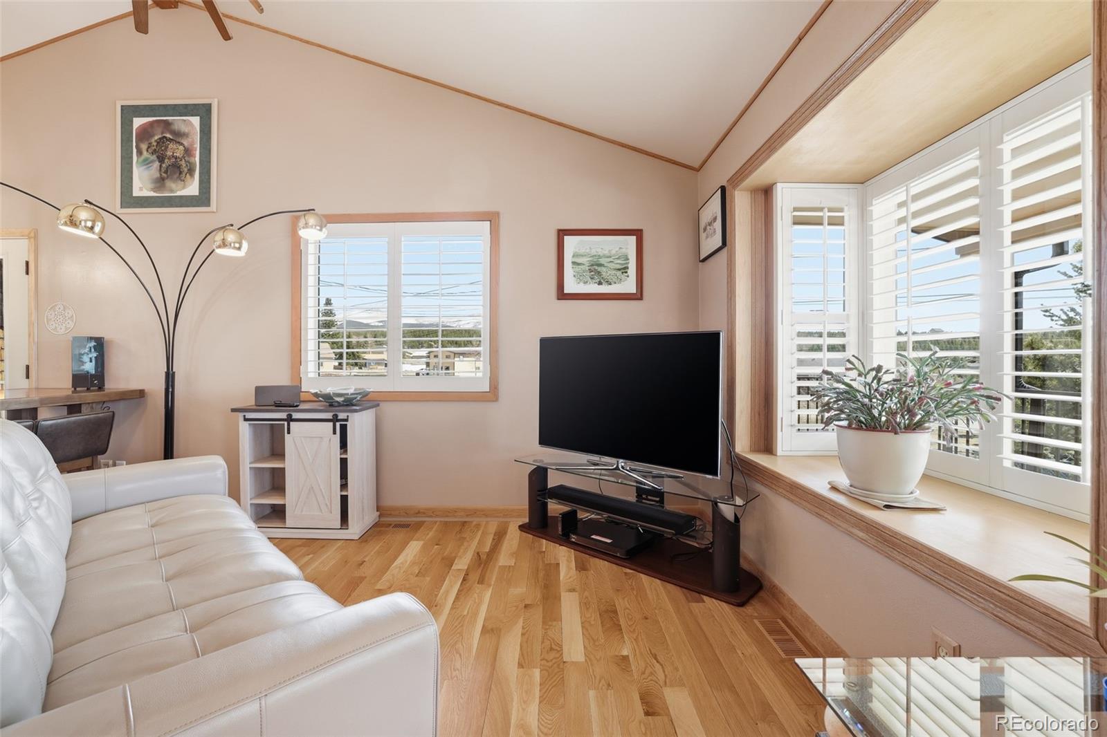 MLS Image #4 for 10  marshal duggan drive,leadville, Colorado