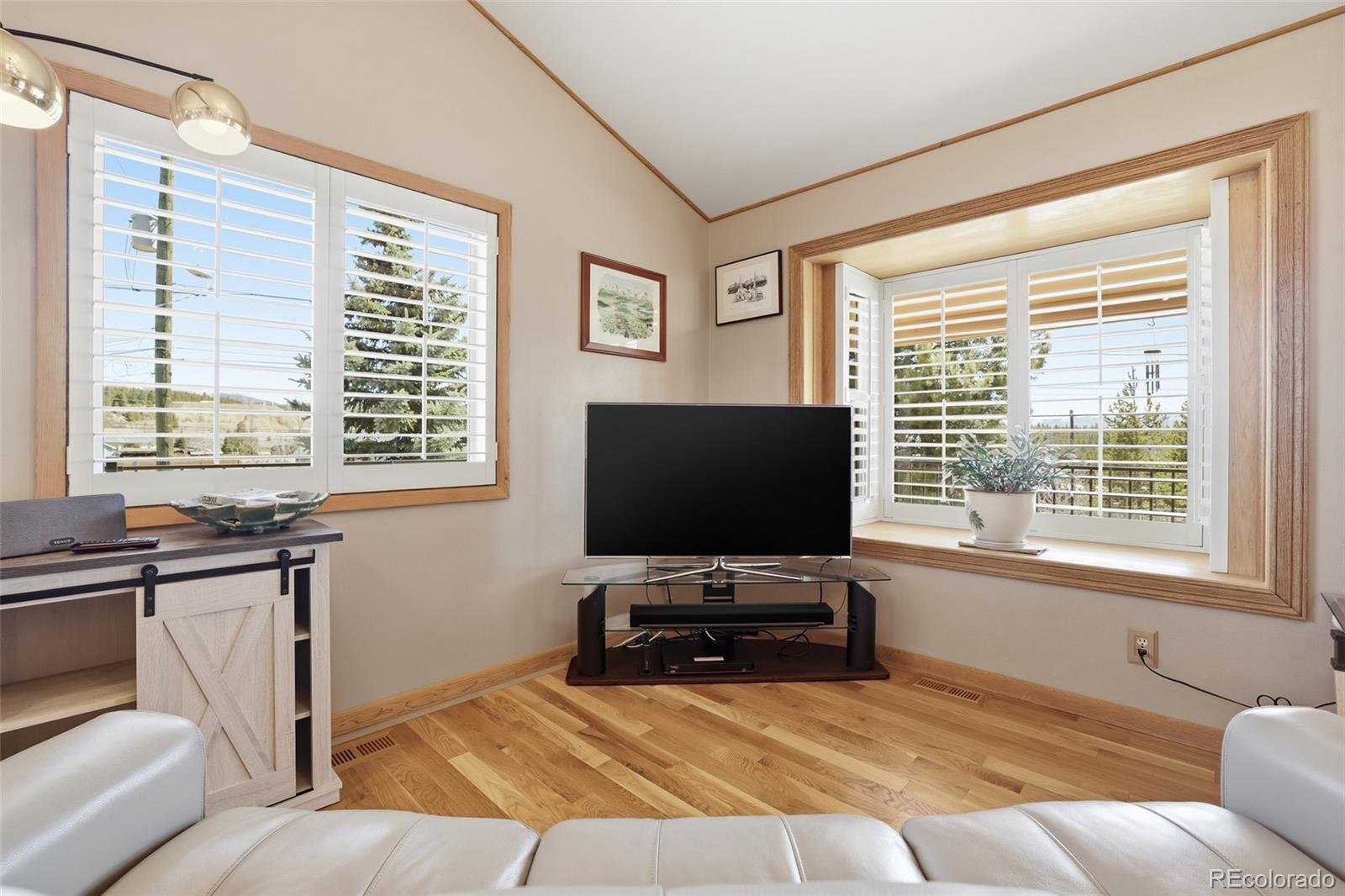 MLS Image #5 for 10  marshal duggan drive,leadville, Colorado