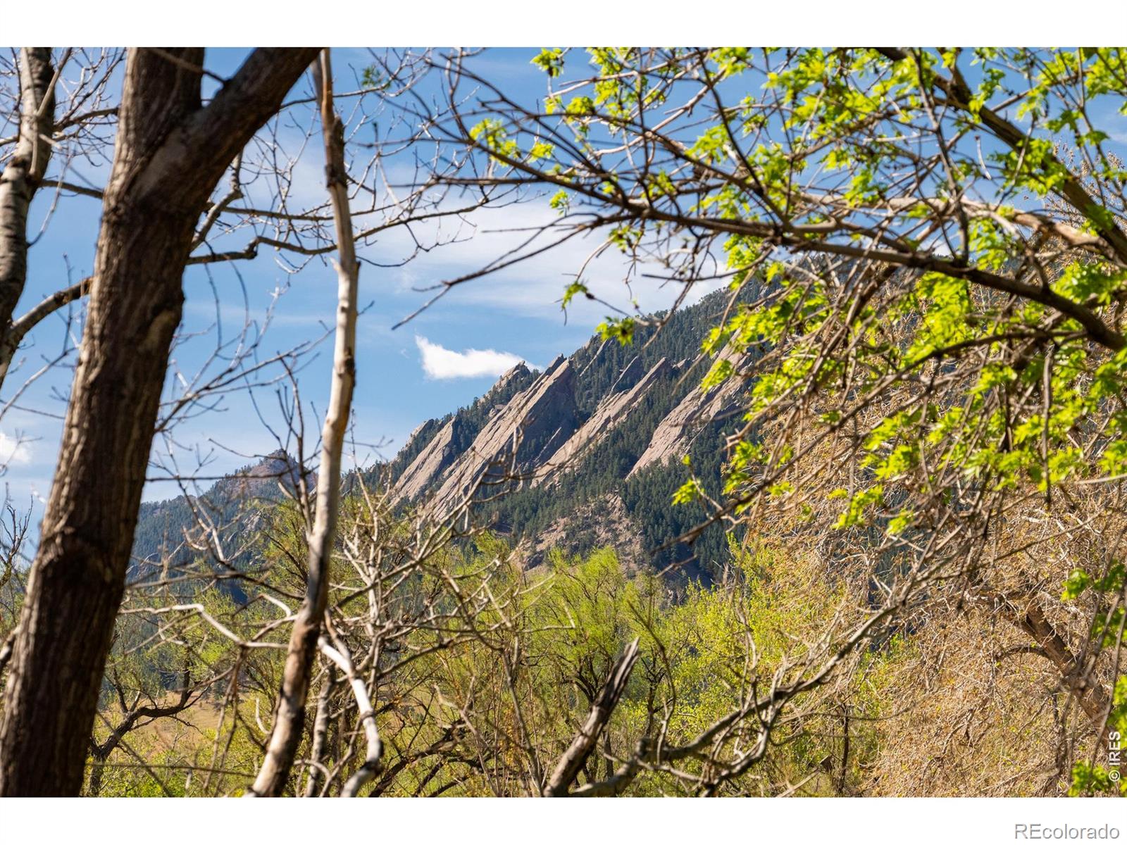 MLS Image #41 for 812  walnut street,boulder, Colorado