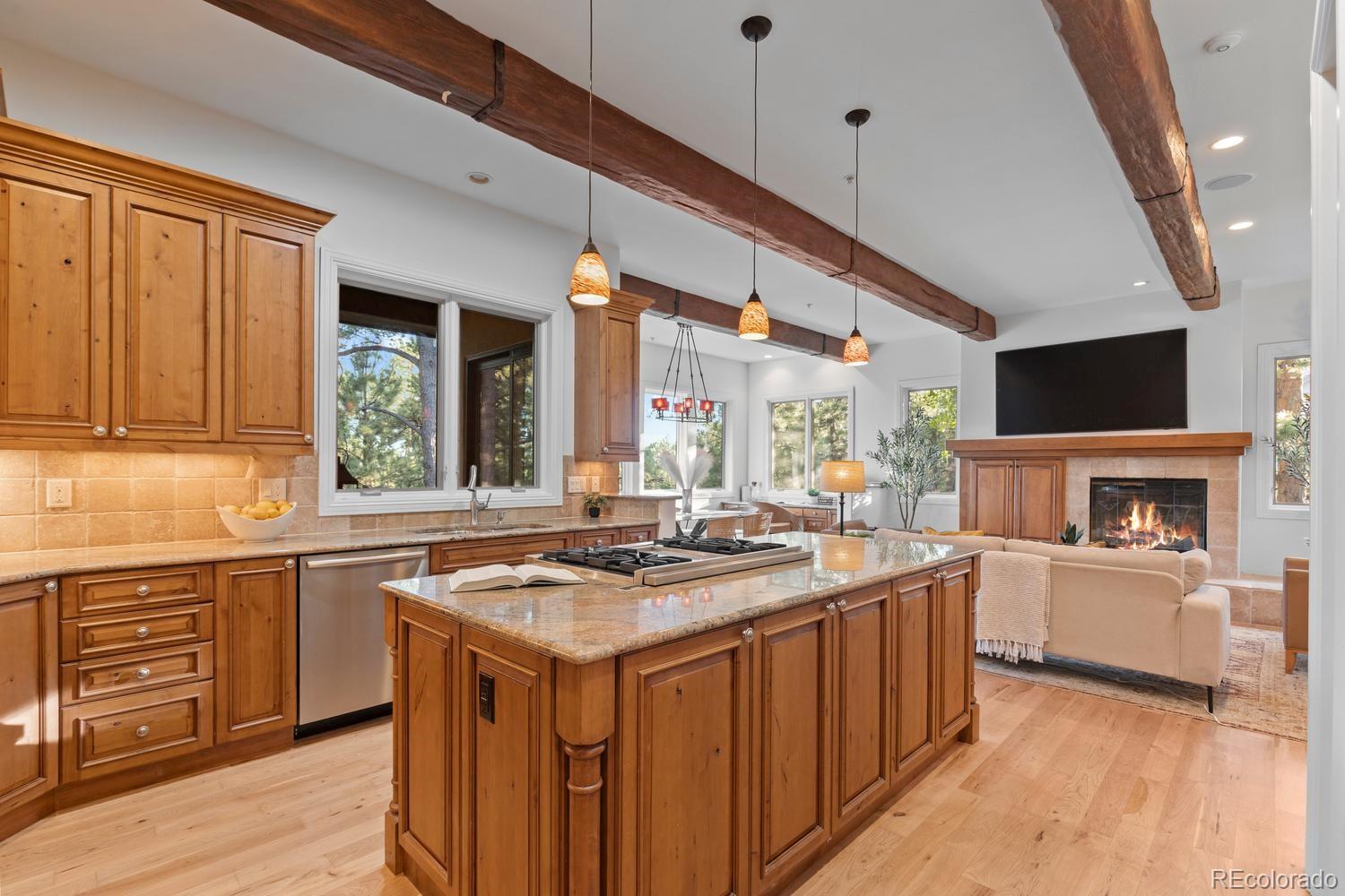 MLS Image #10 for 645  ruby trust drive,castle rock, Colorado