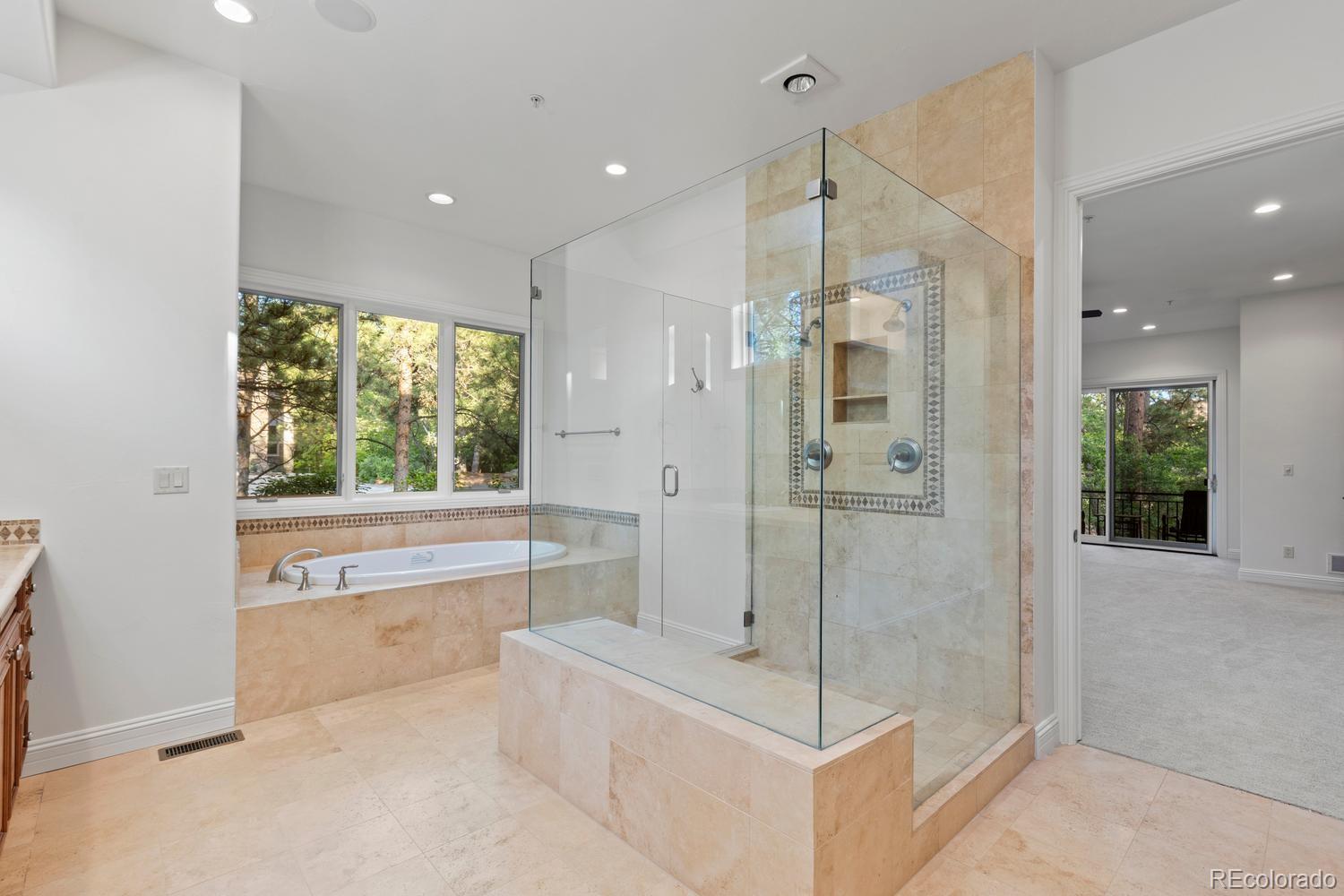 MLS Image #15 for 645  ruby trust drive,castle rock, Colorado