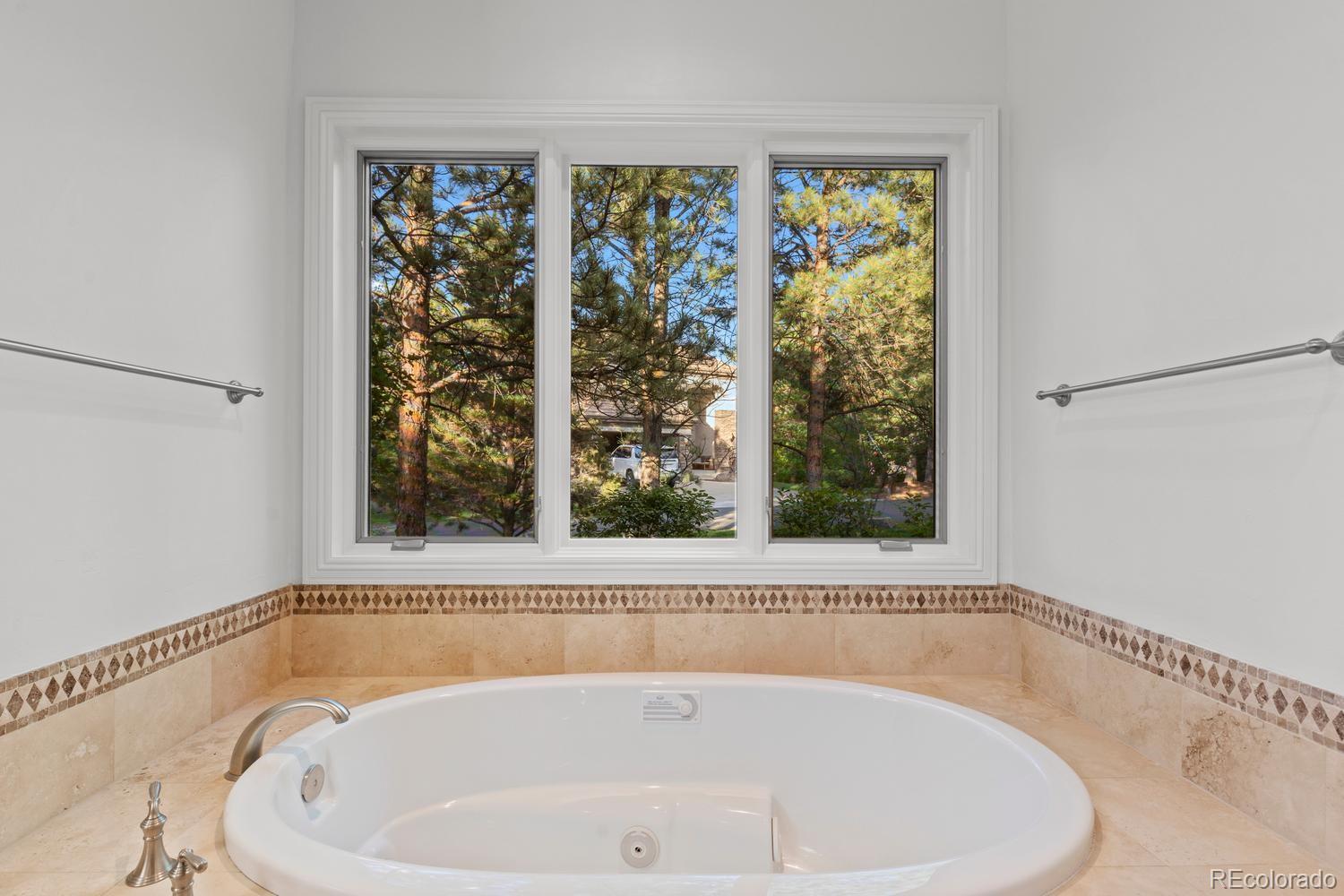 MLS Image #16 for 645  ruby trust drive,castle rock, Colorado