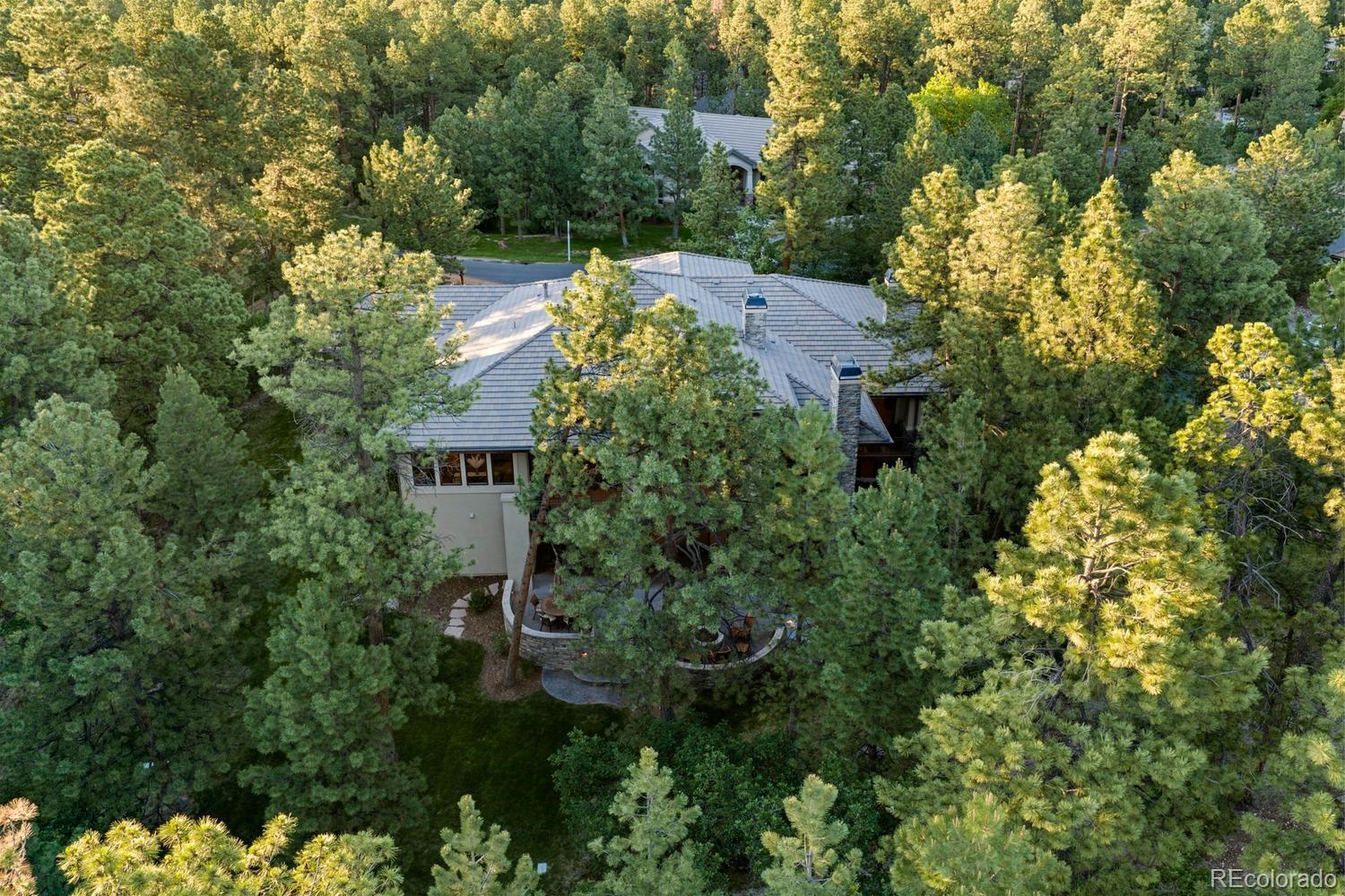MLS Image #29 for 645  ruby trust way,castle rock, Colorado