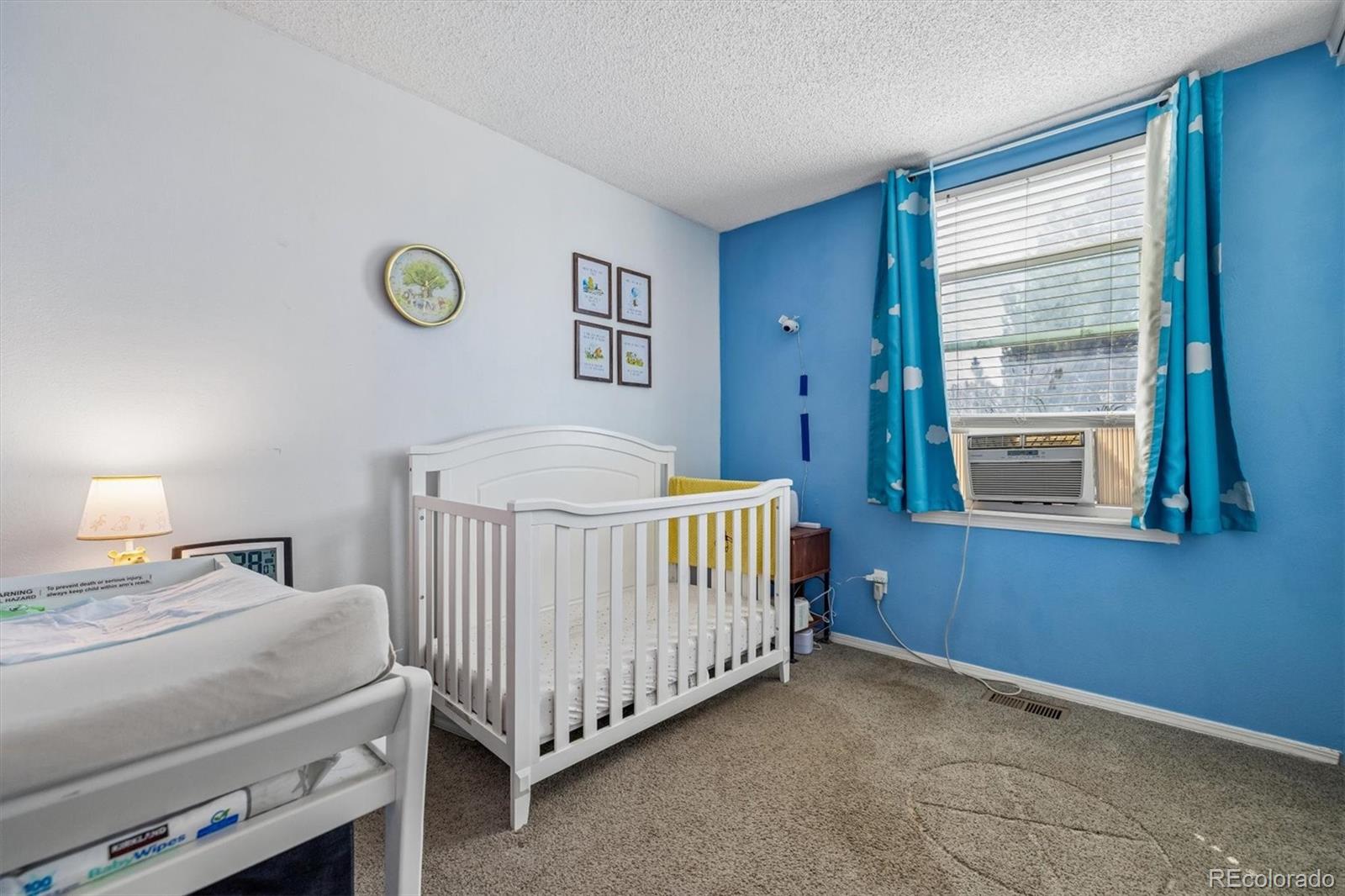 MLS Image #11 for 8434  rabbitbrush way,parker, Colorado
