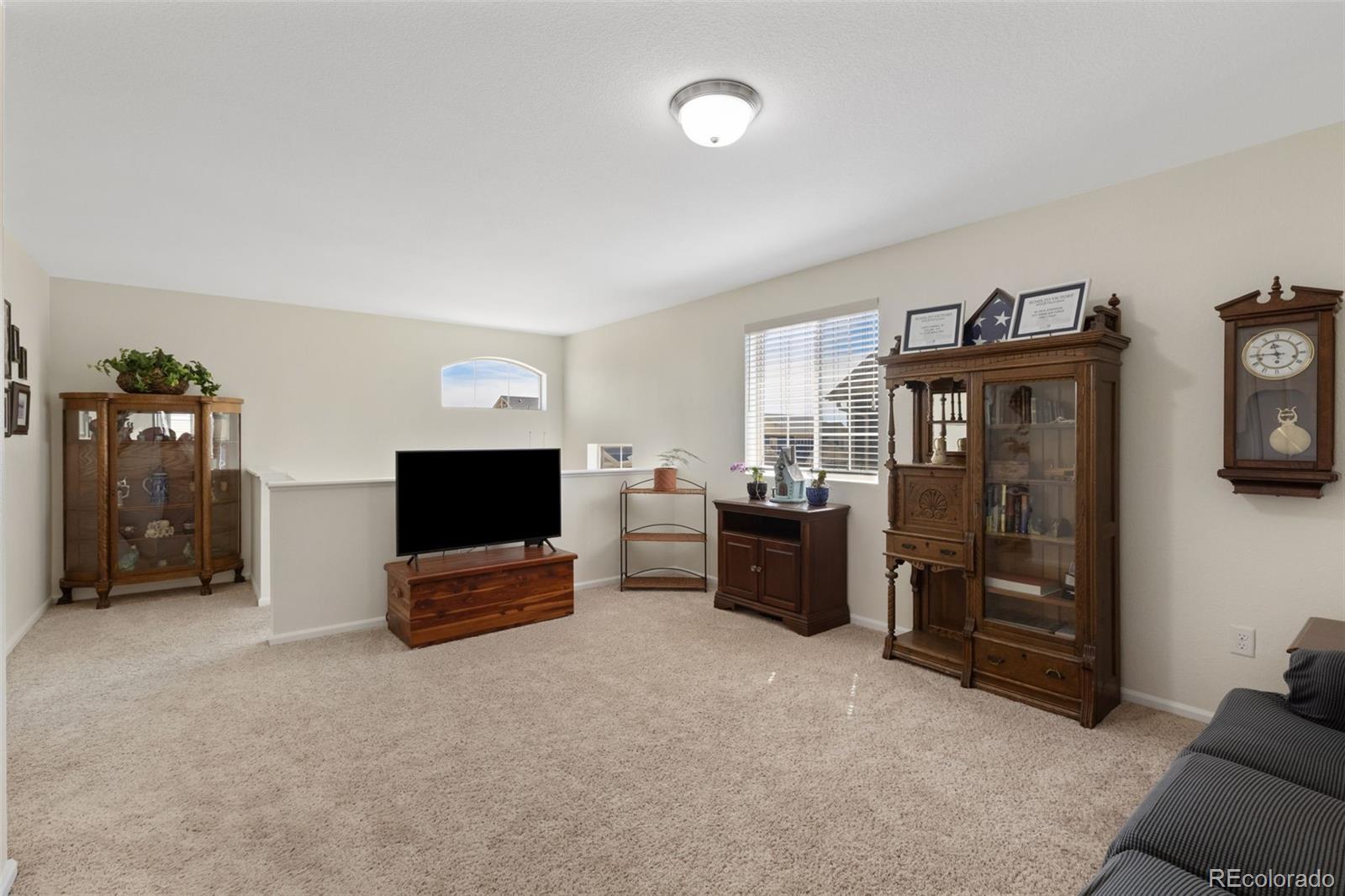 MLS Image #23 for 6588  cottonwood tree drive,colorado springs, Colorado